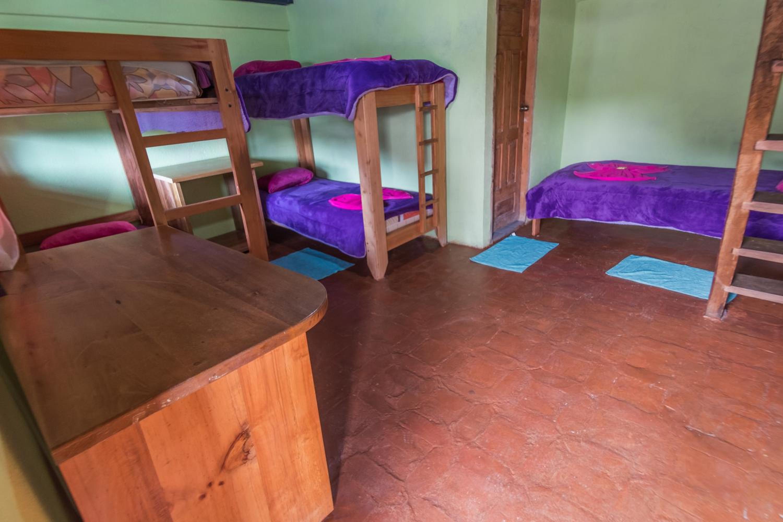 Bed in 8-Bed Mixed Dormitory Room