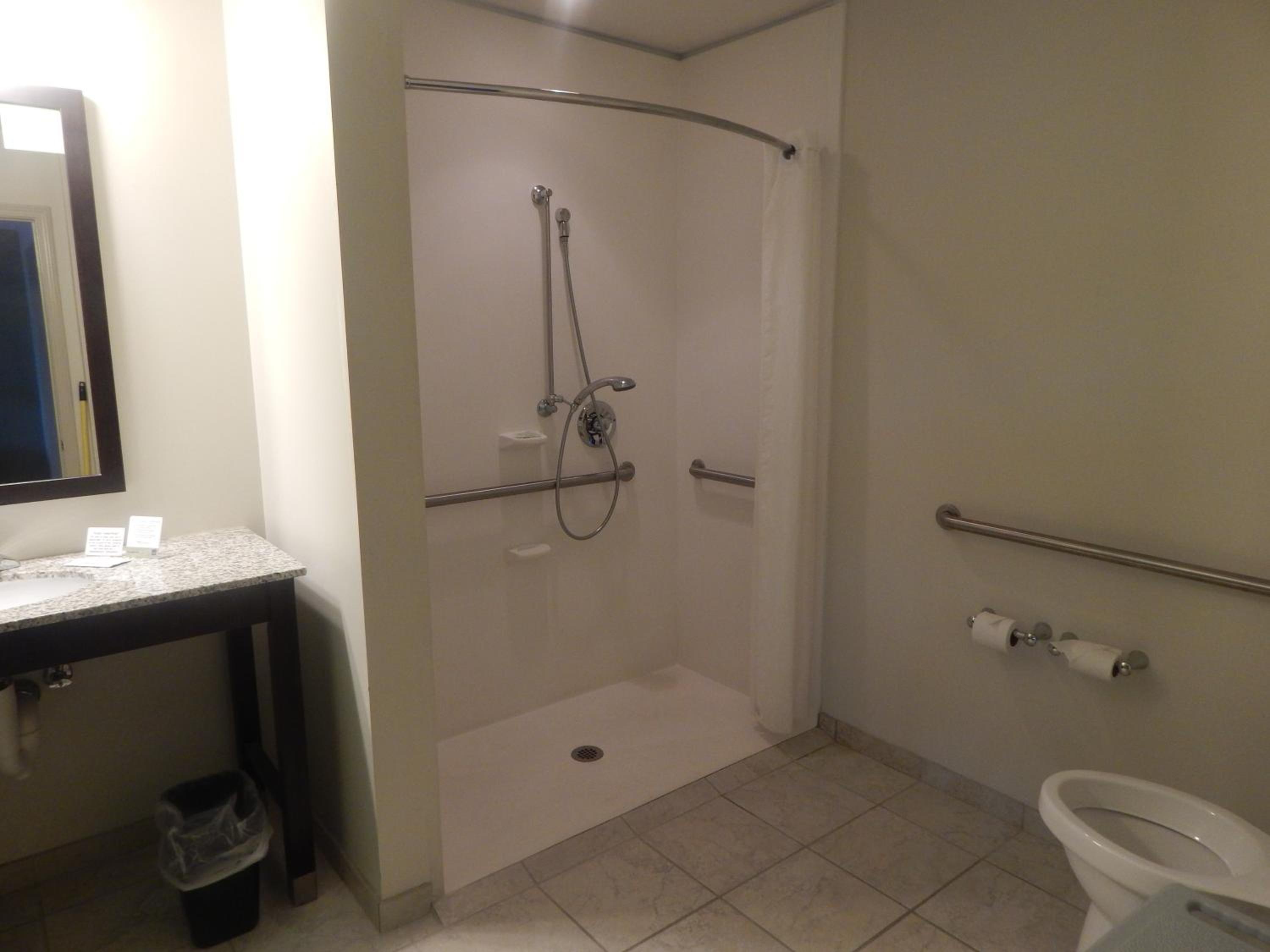 King Suite - Photo 2