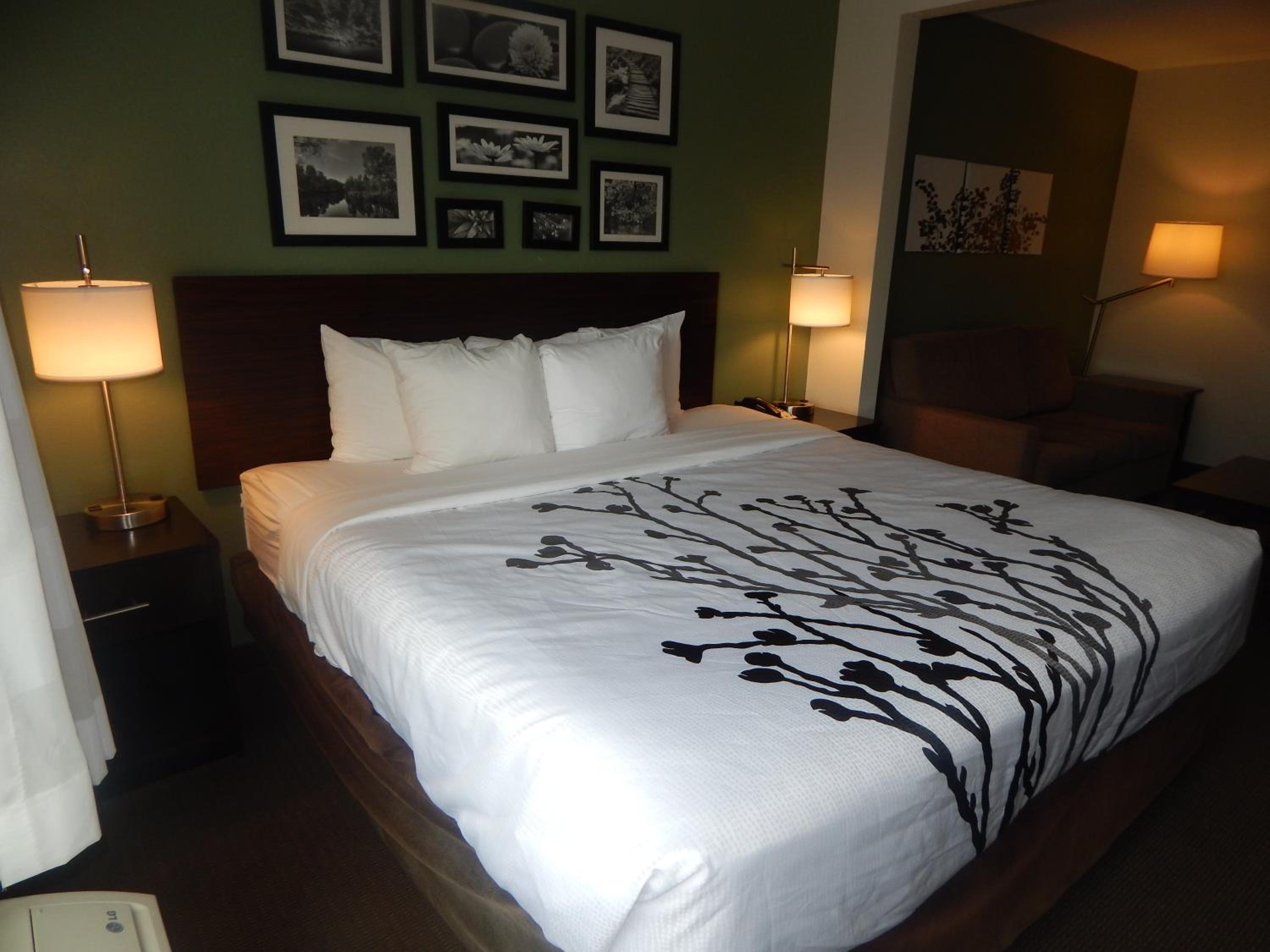 King Suite - Photo 1