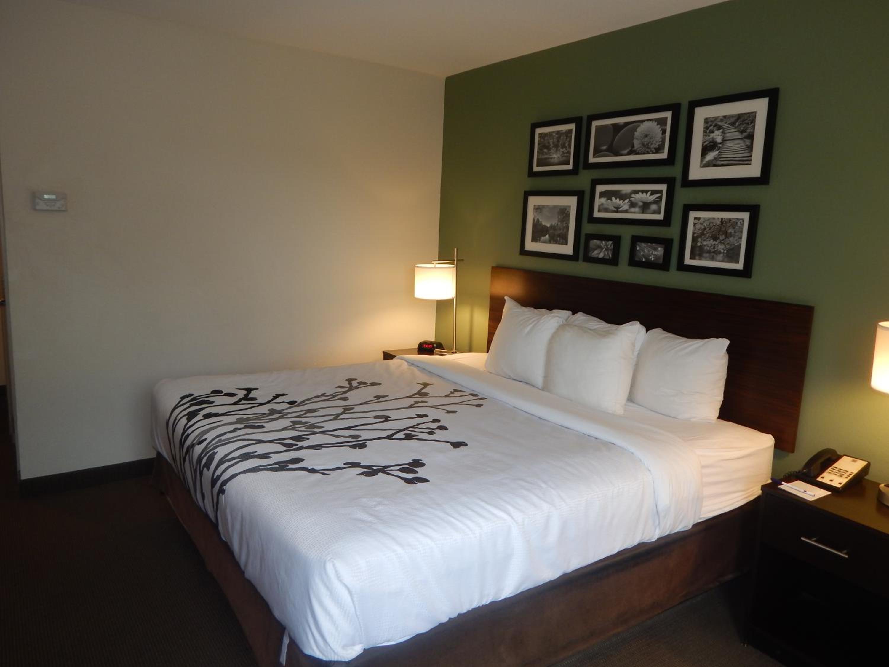 King Room - Non-Smoking - Photo 1