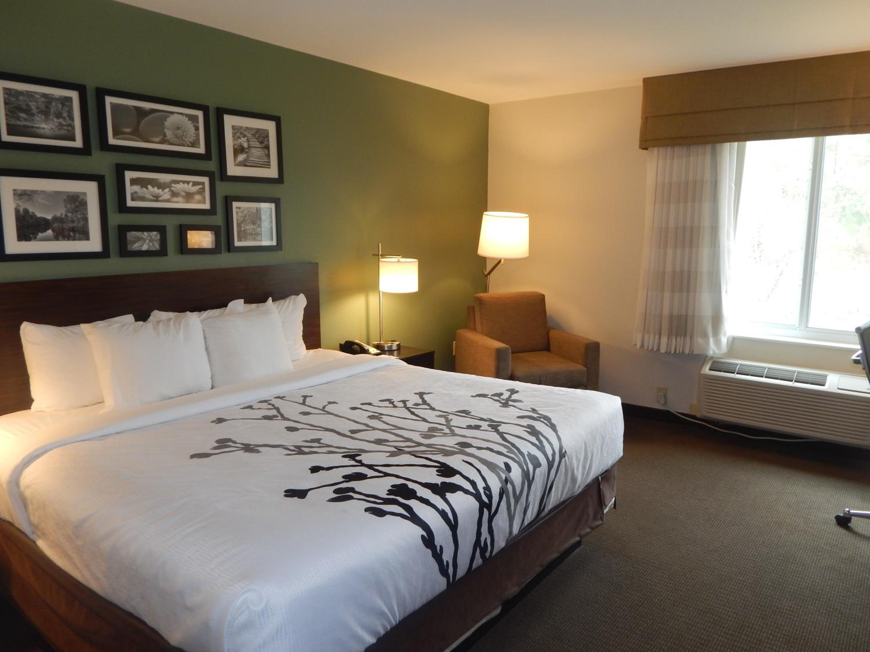 King Room - Non-Smoking - Photo 6