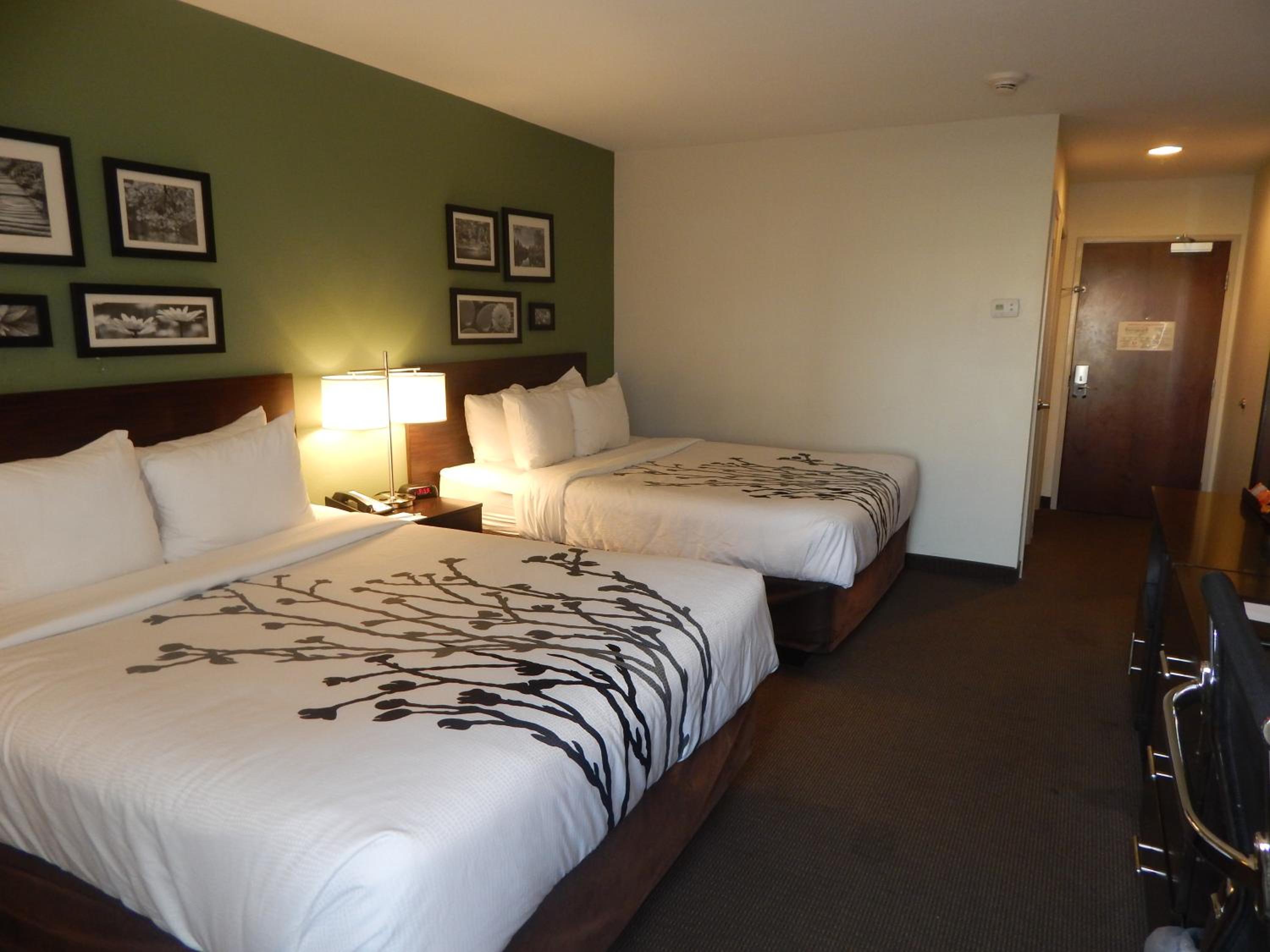 Queen Room with Two Queen Beds - Non-Smoking - Photo 3