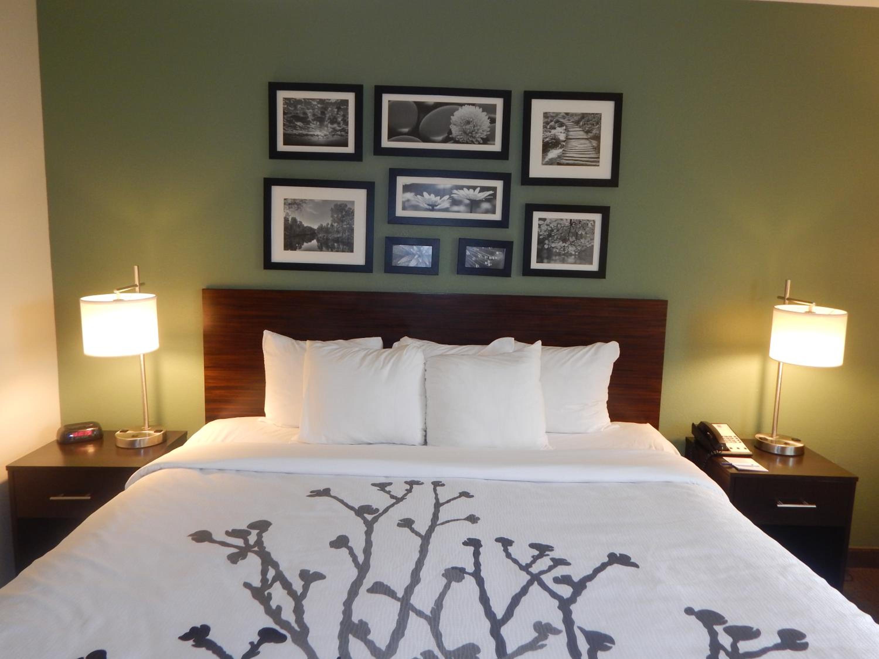 King Suite - Photo 6