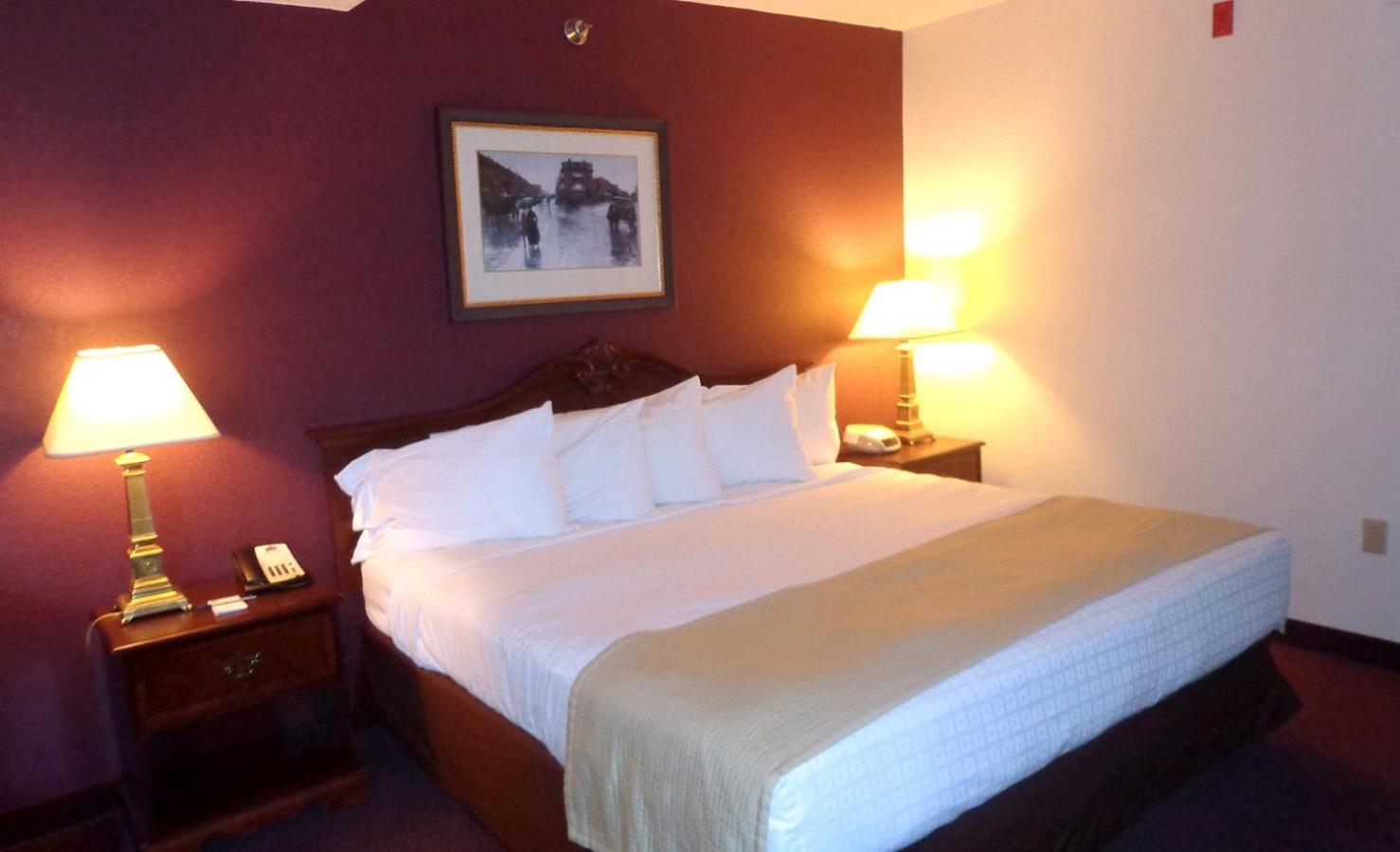 King Room photo 1