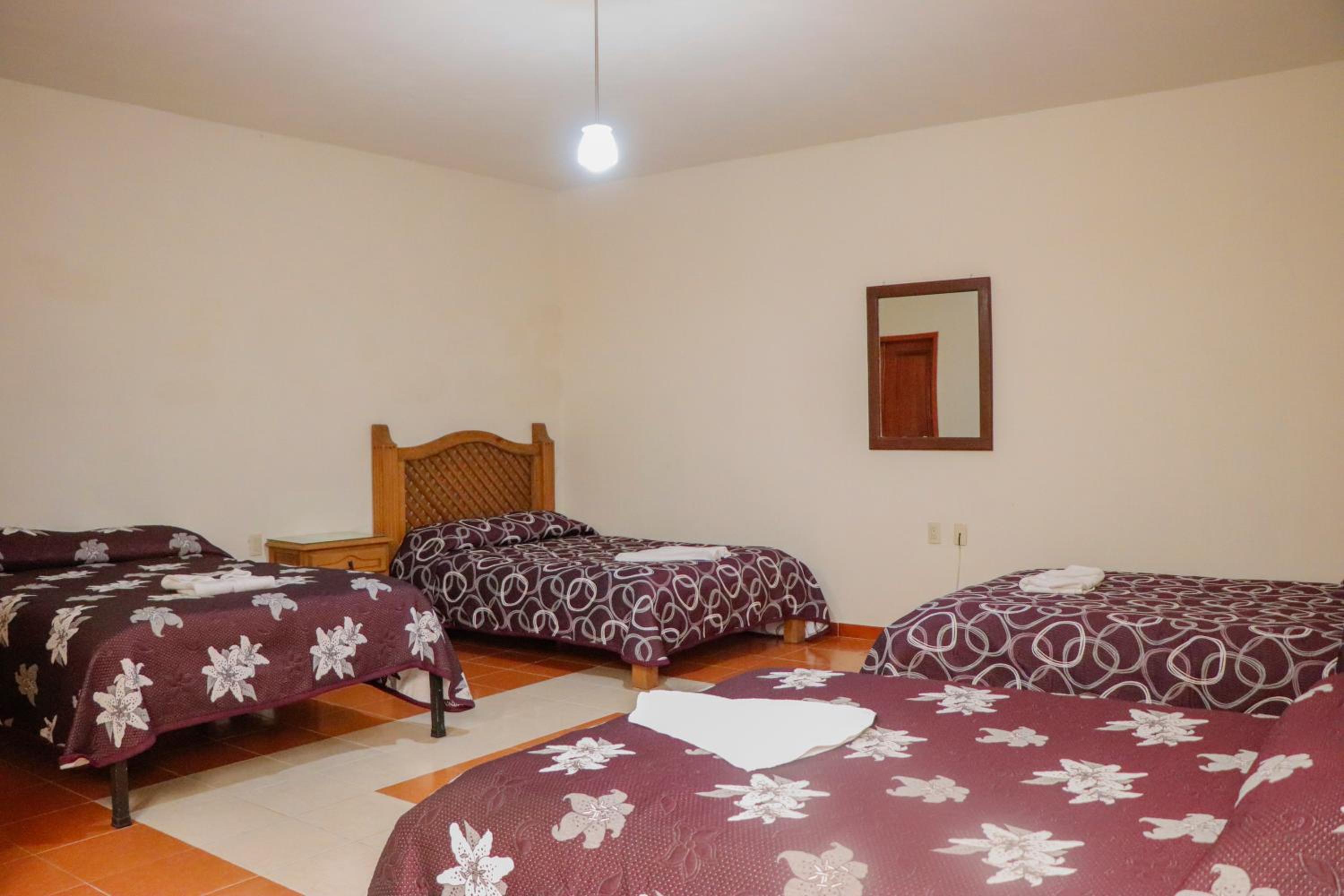 Superior Quadruple Room - Photo 4
