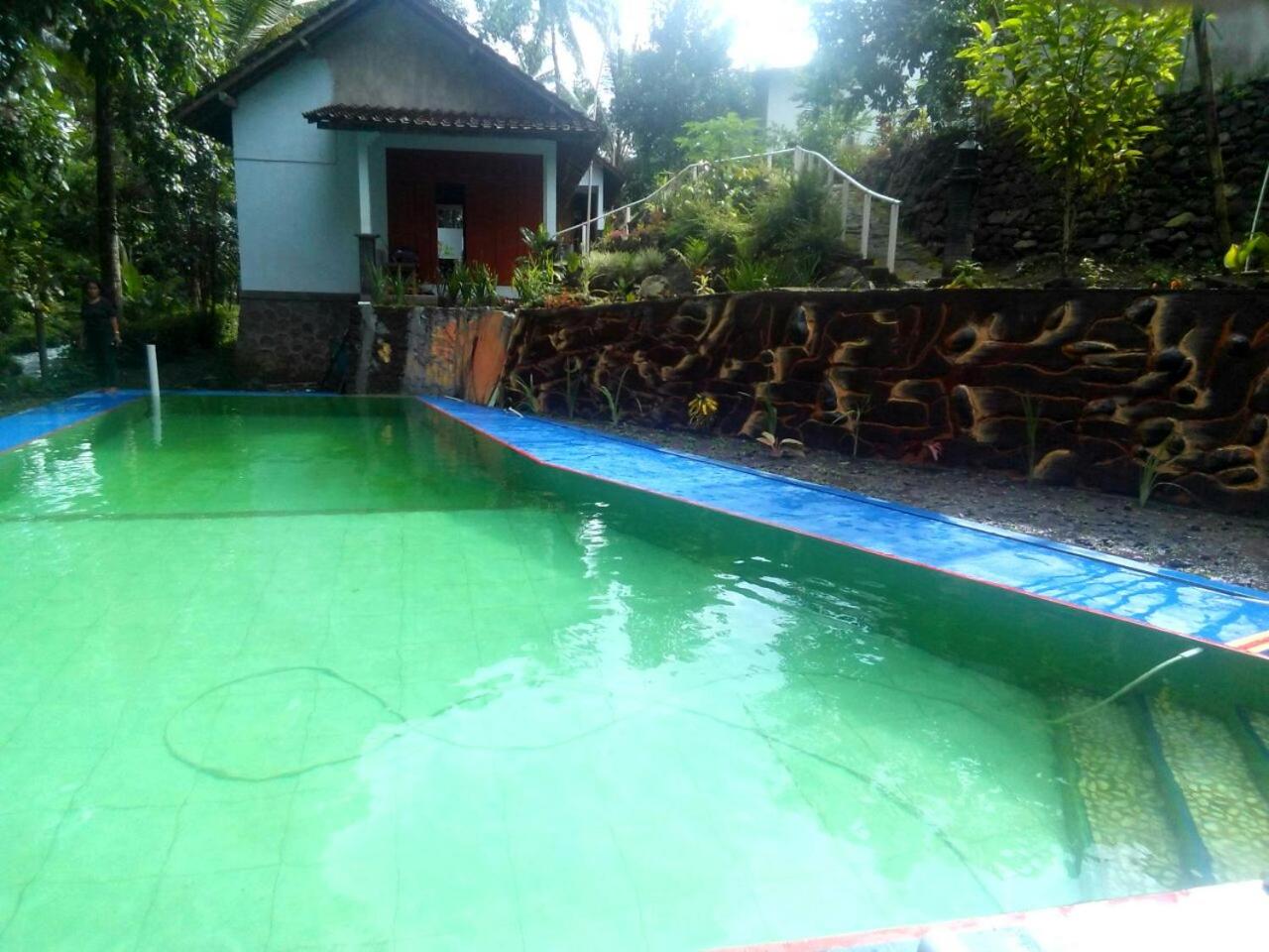 Family Bungalow - Photo 13