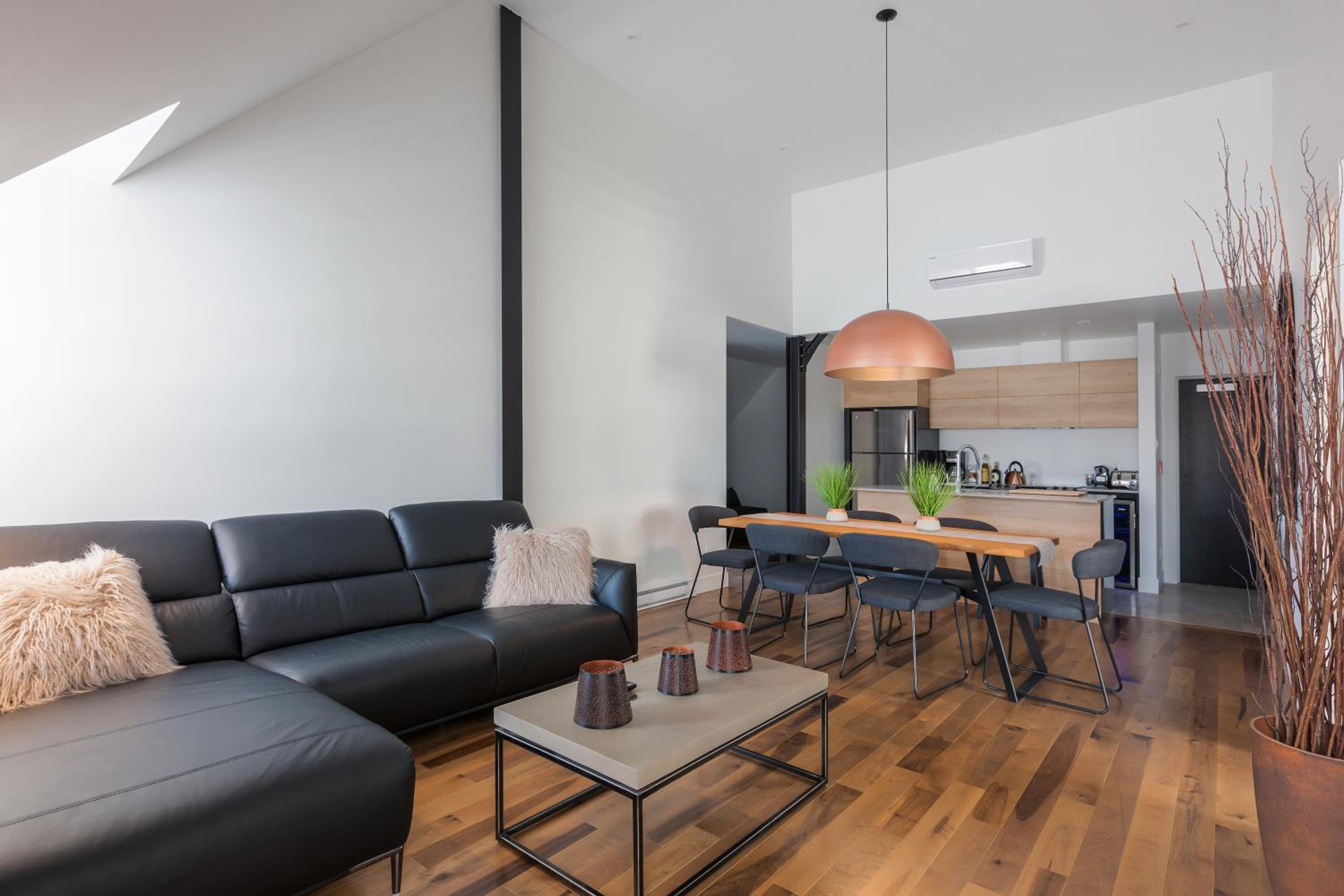 Penthouse Apartment
