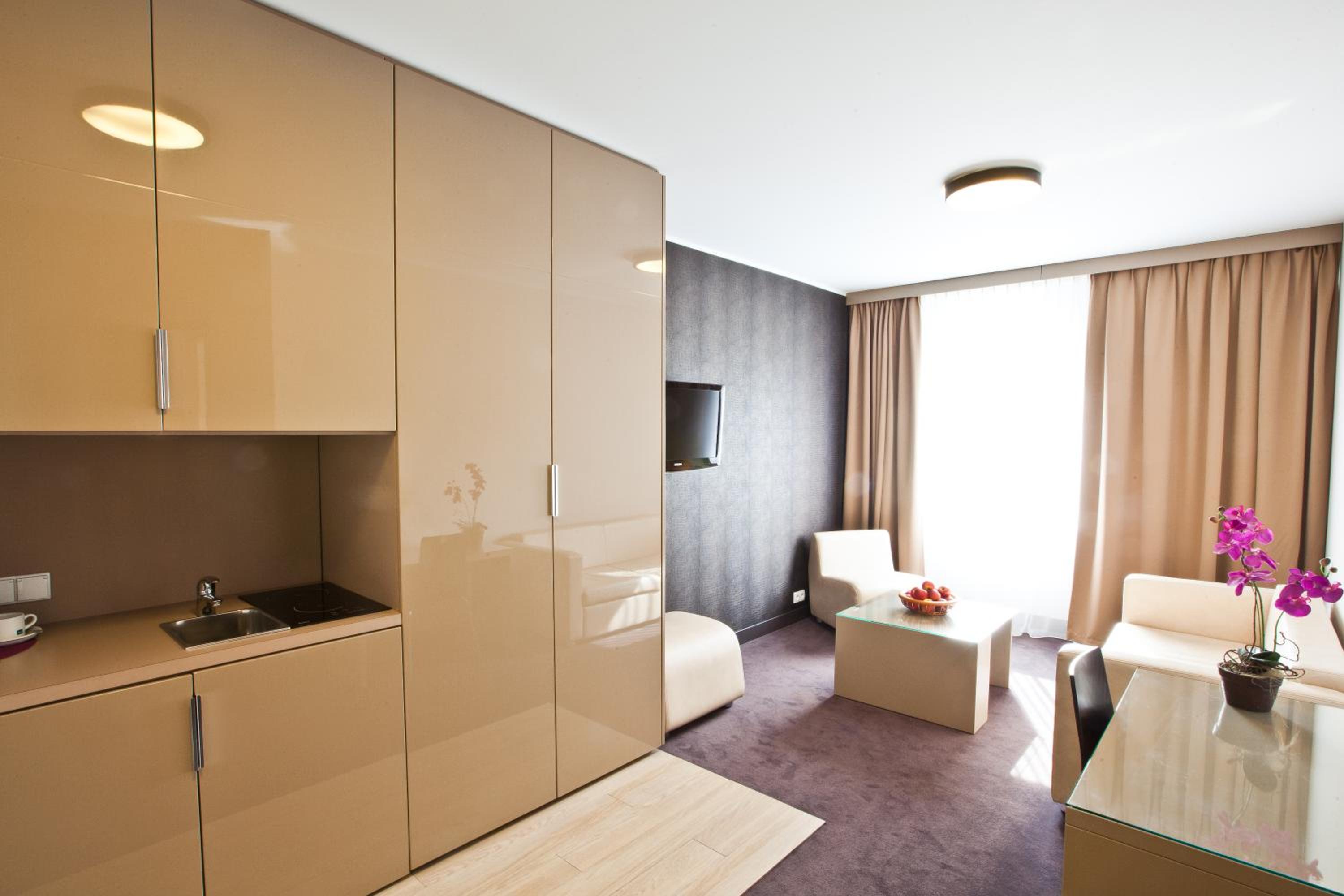 Standard One-Bedroom Apartment - Photo 5