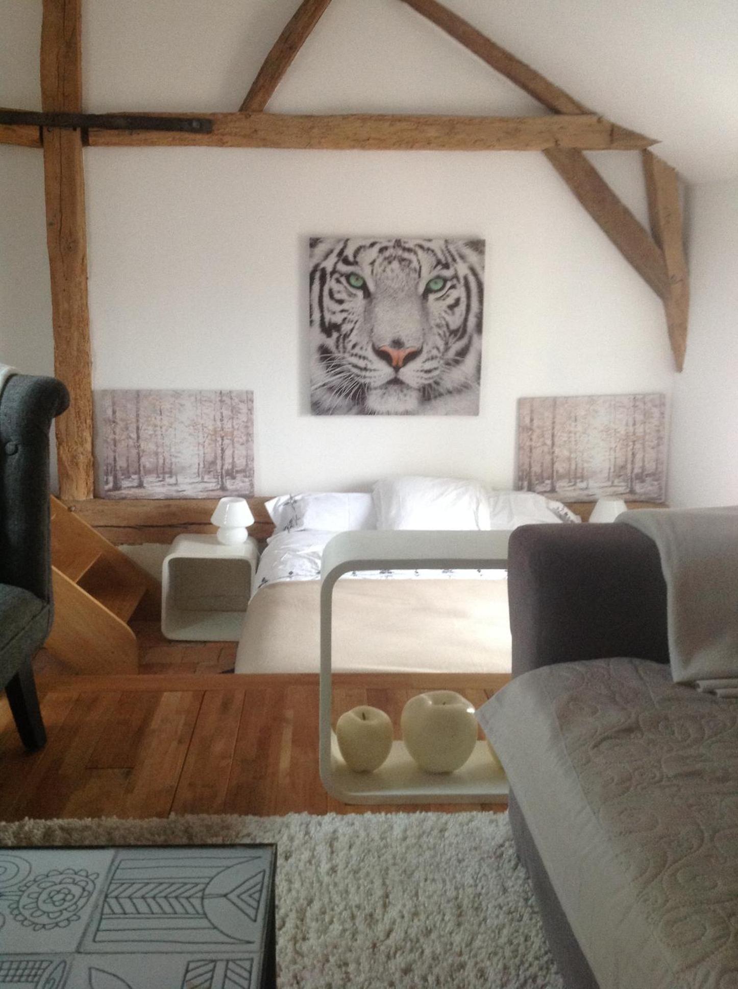 Superior Room photo 3