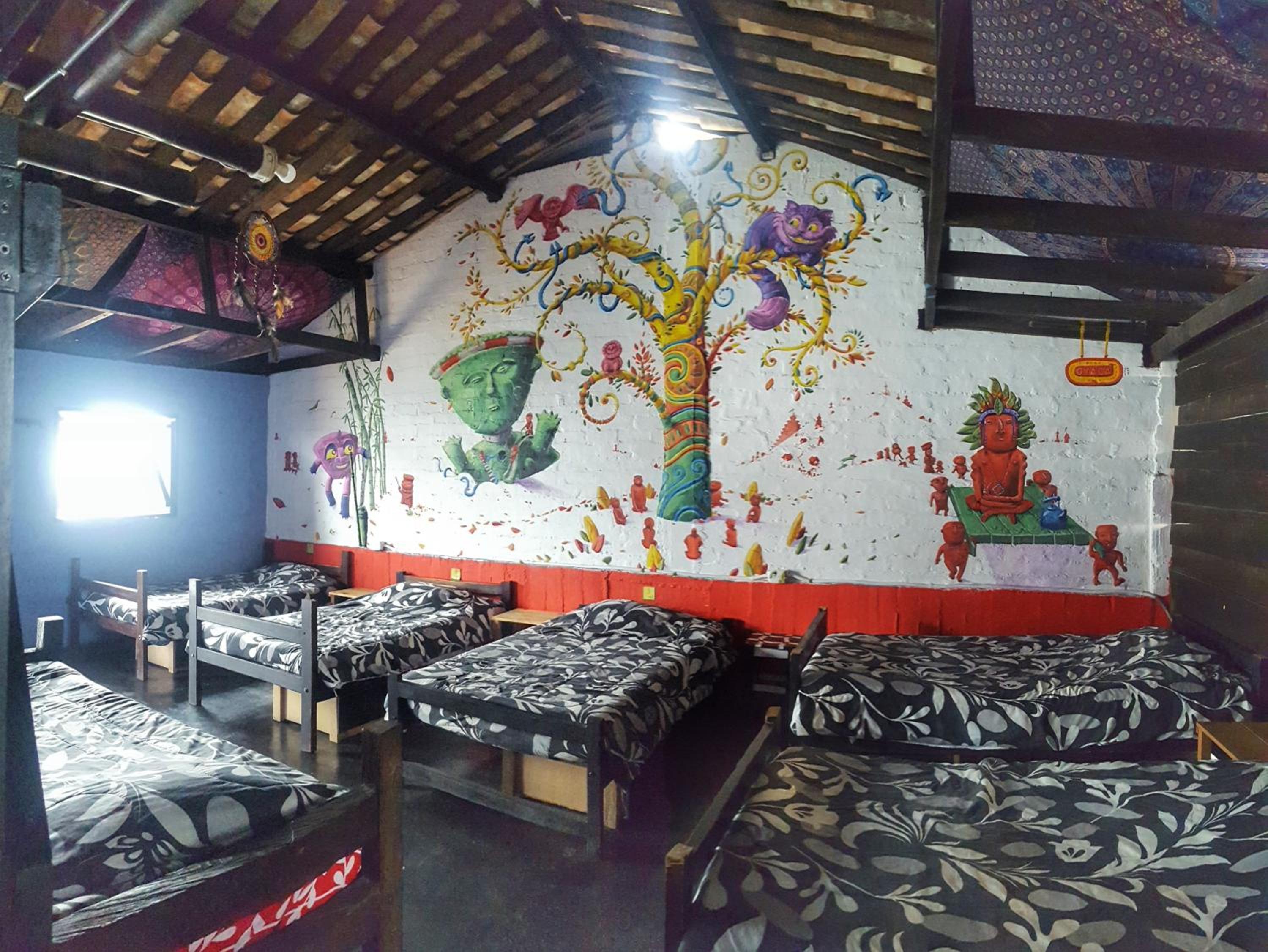 Bed in 6-Bed Dormitory Room photo 1