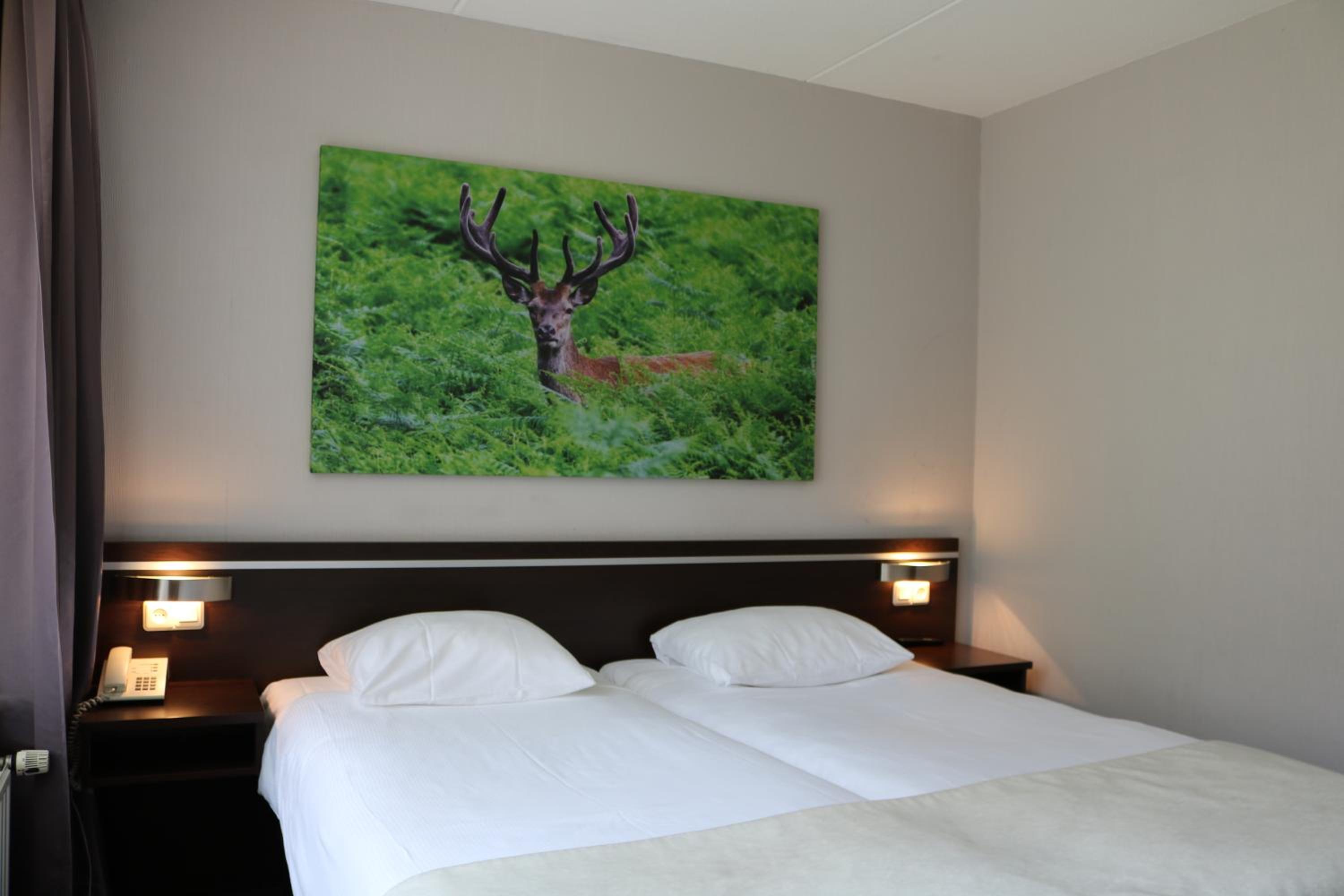 Comfort Room photo 2