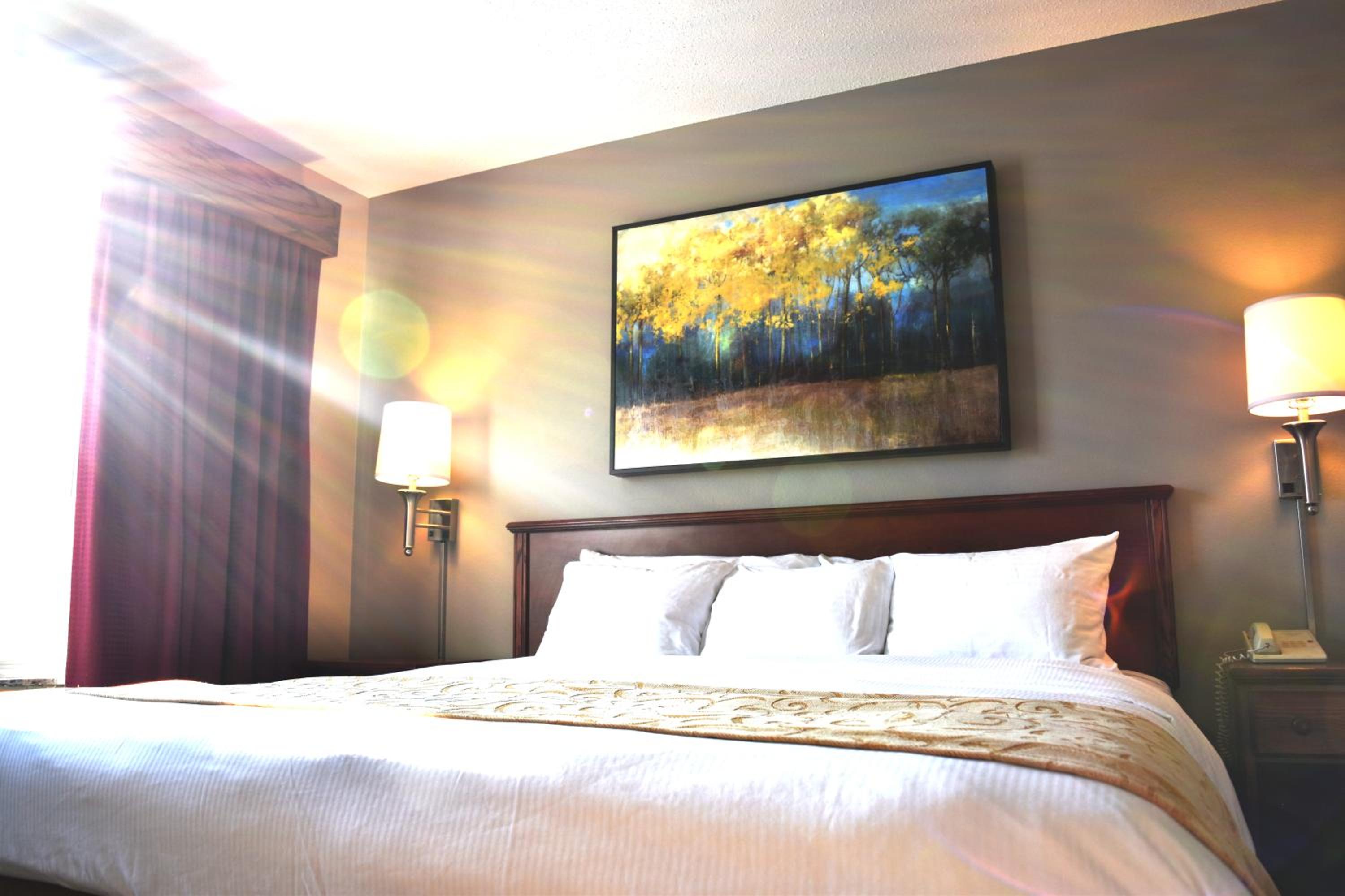 One-Bedroom Suite - Photo 1