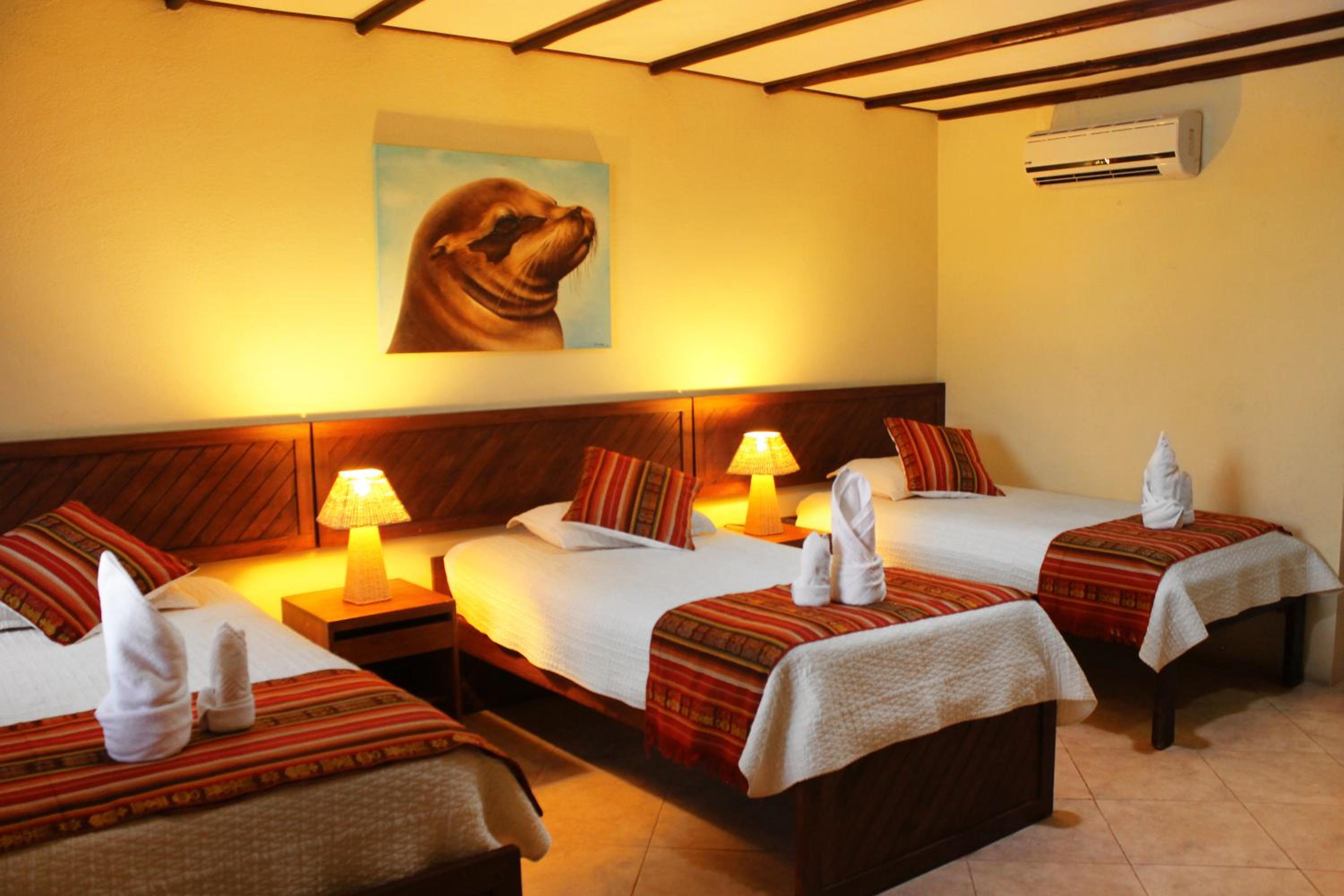 Triple Room photo 3