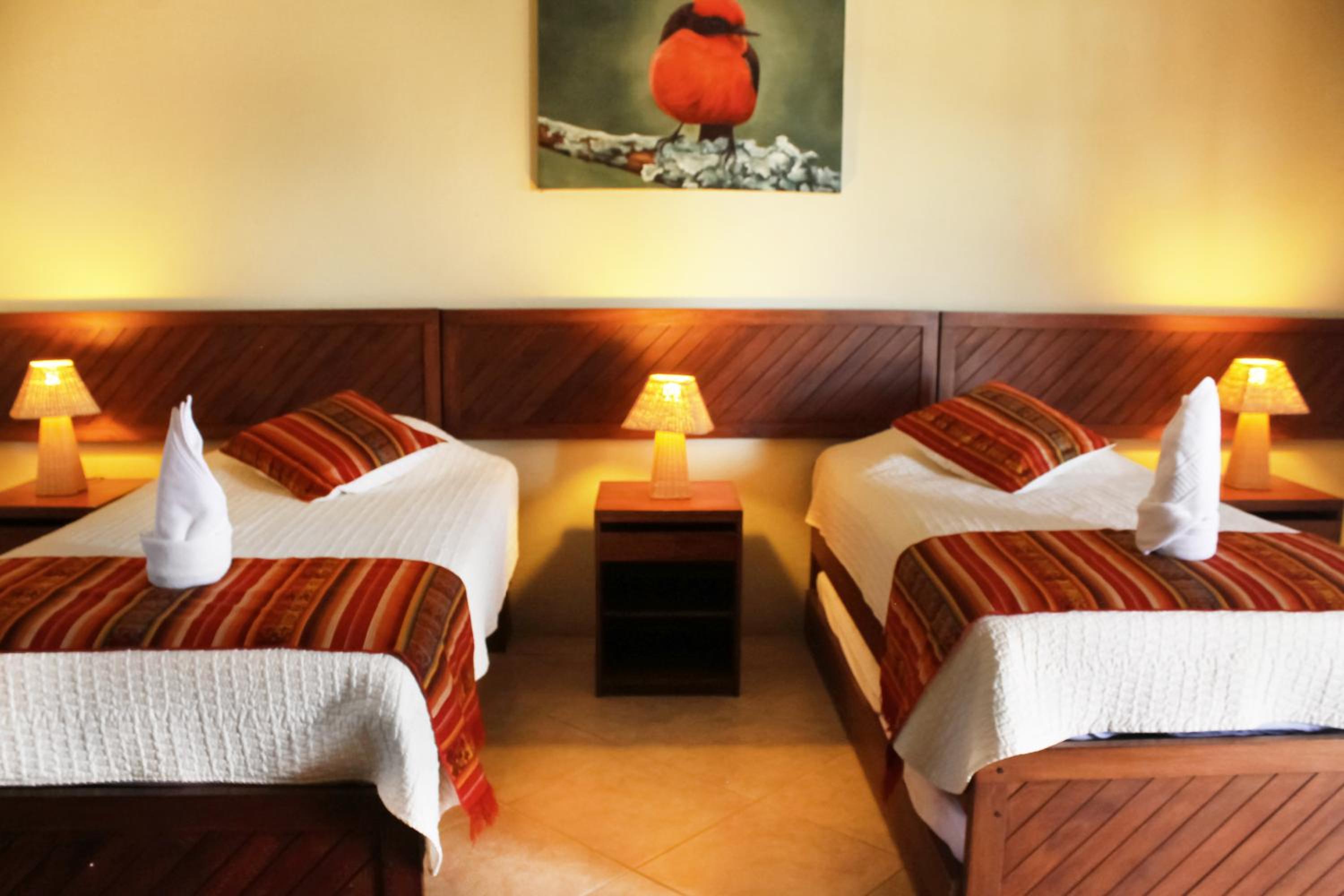 Twin Room photo 3