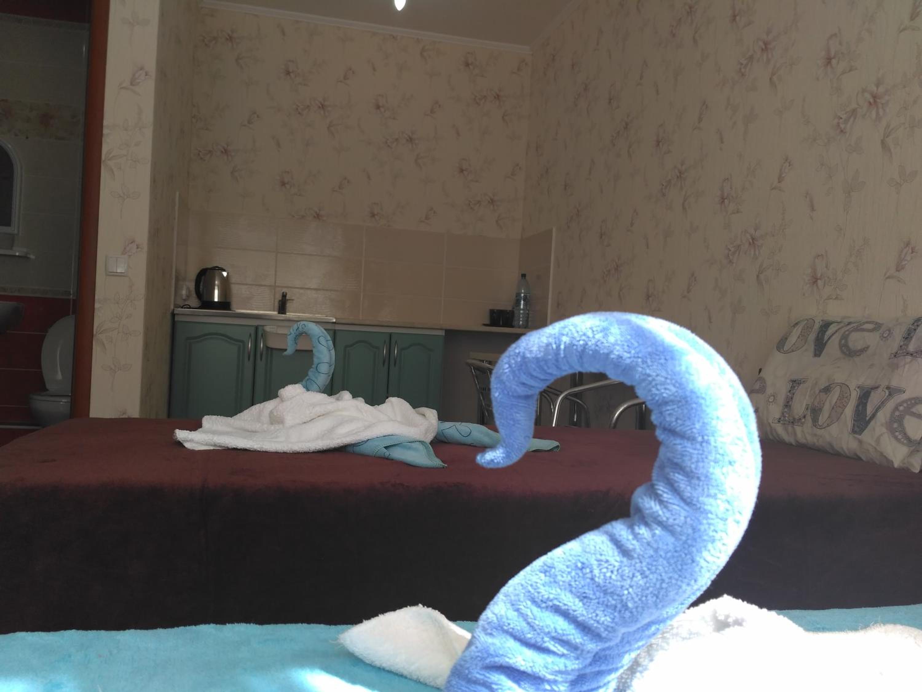 Large Twin Room photo 1
