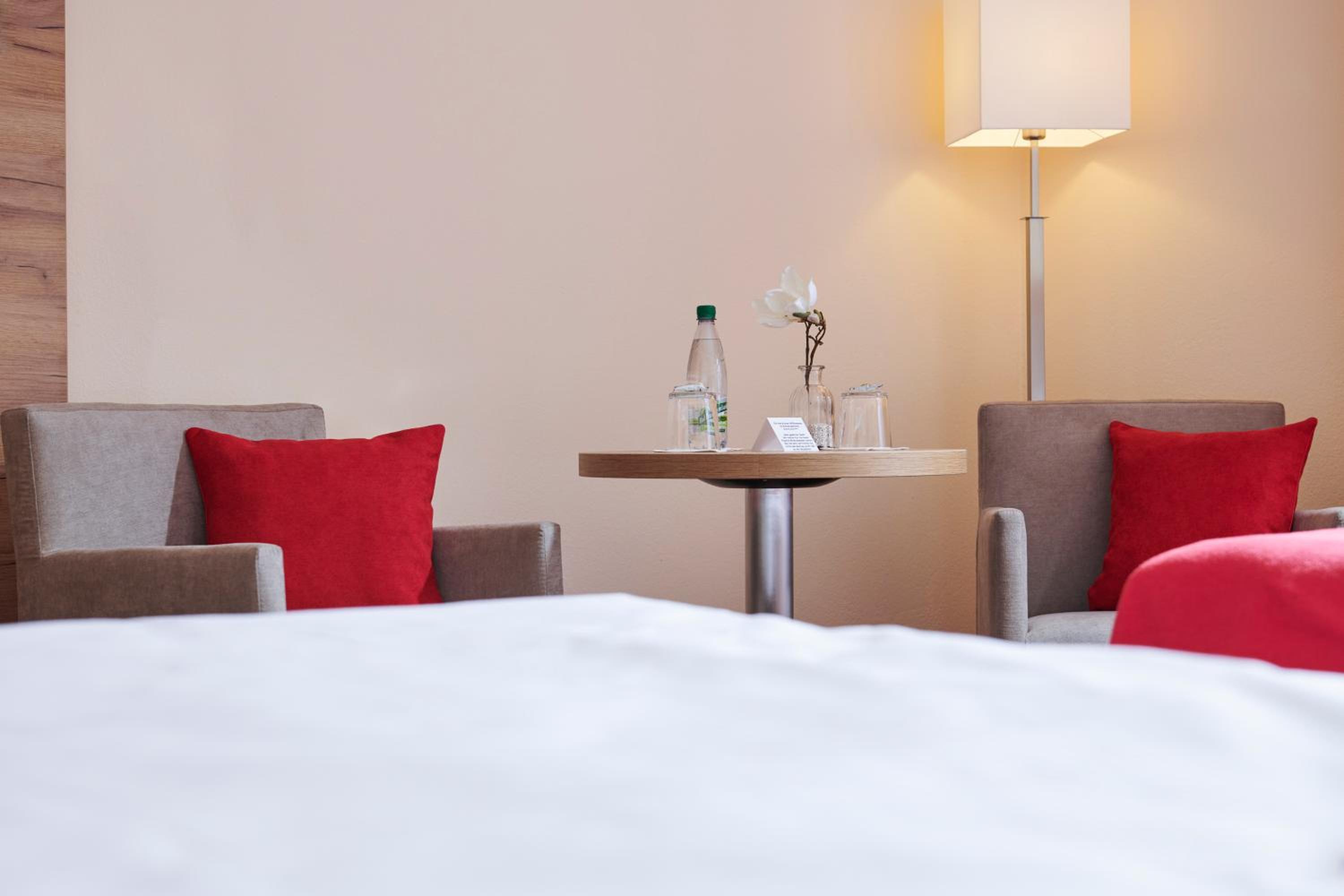Deluxe Double or Twin Room - Photo 2
