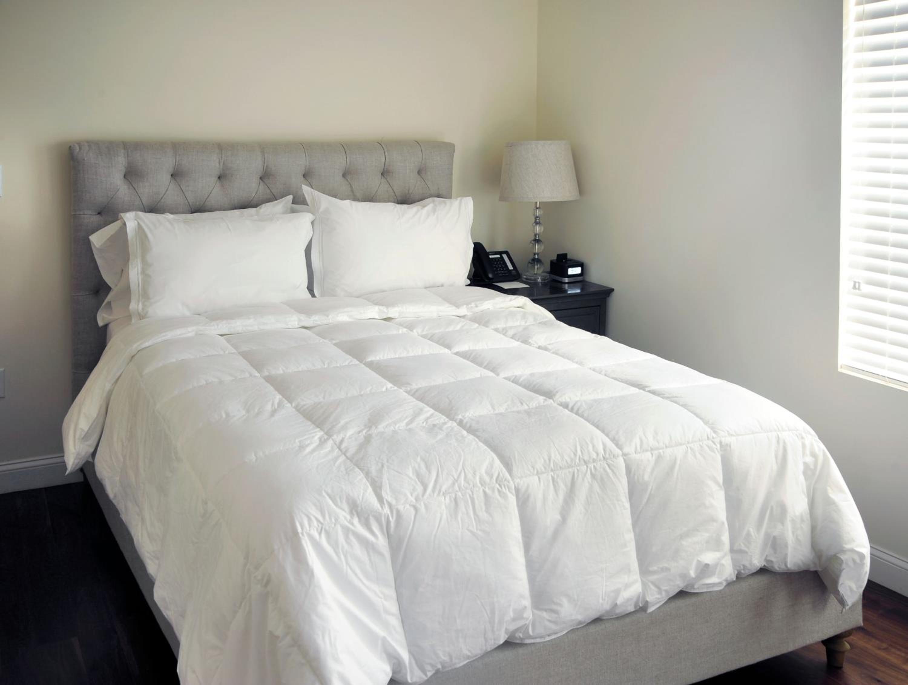 Studio Suite photo 2