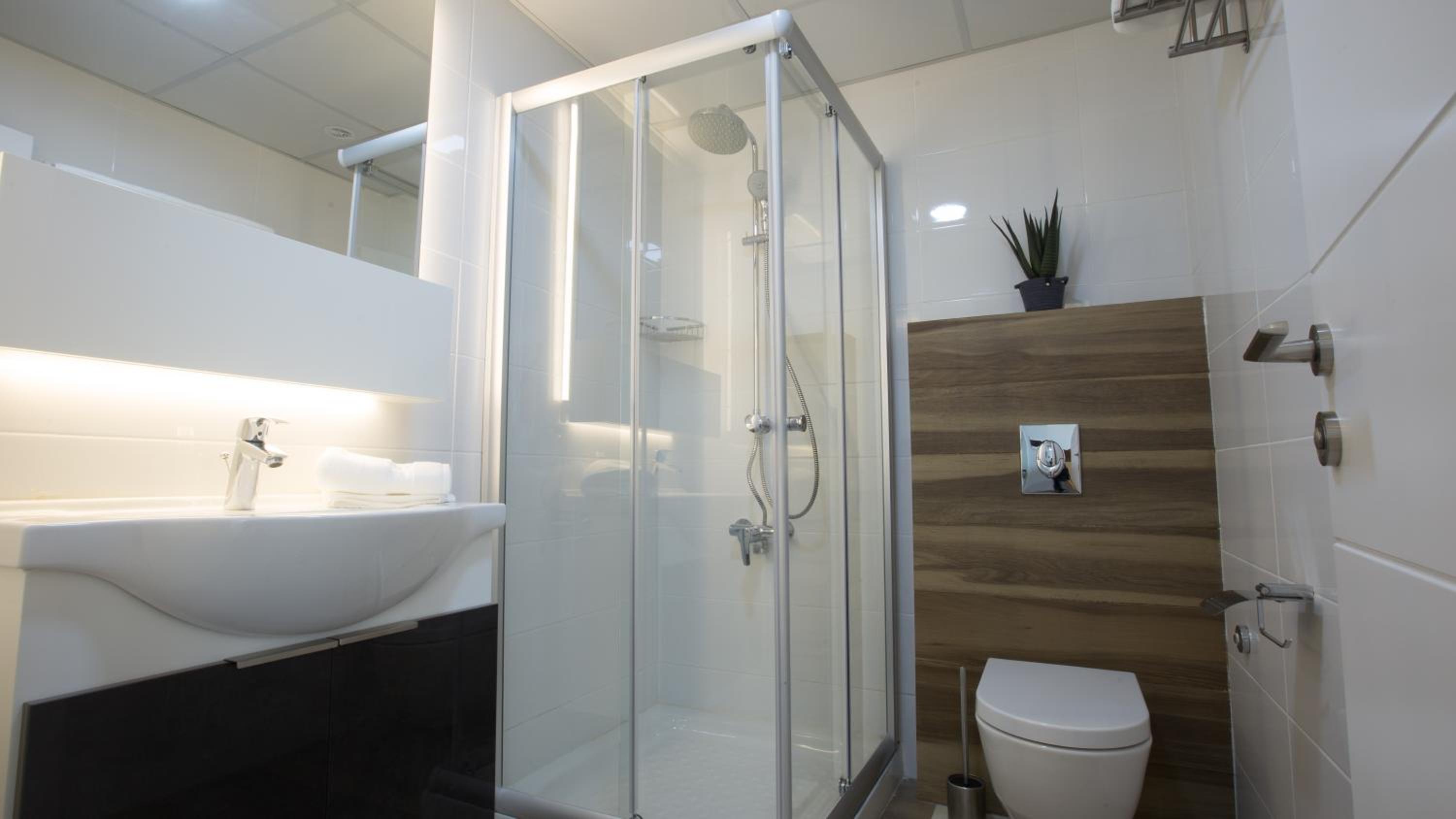 Deluxe Double or Twin Room with City View photo 2