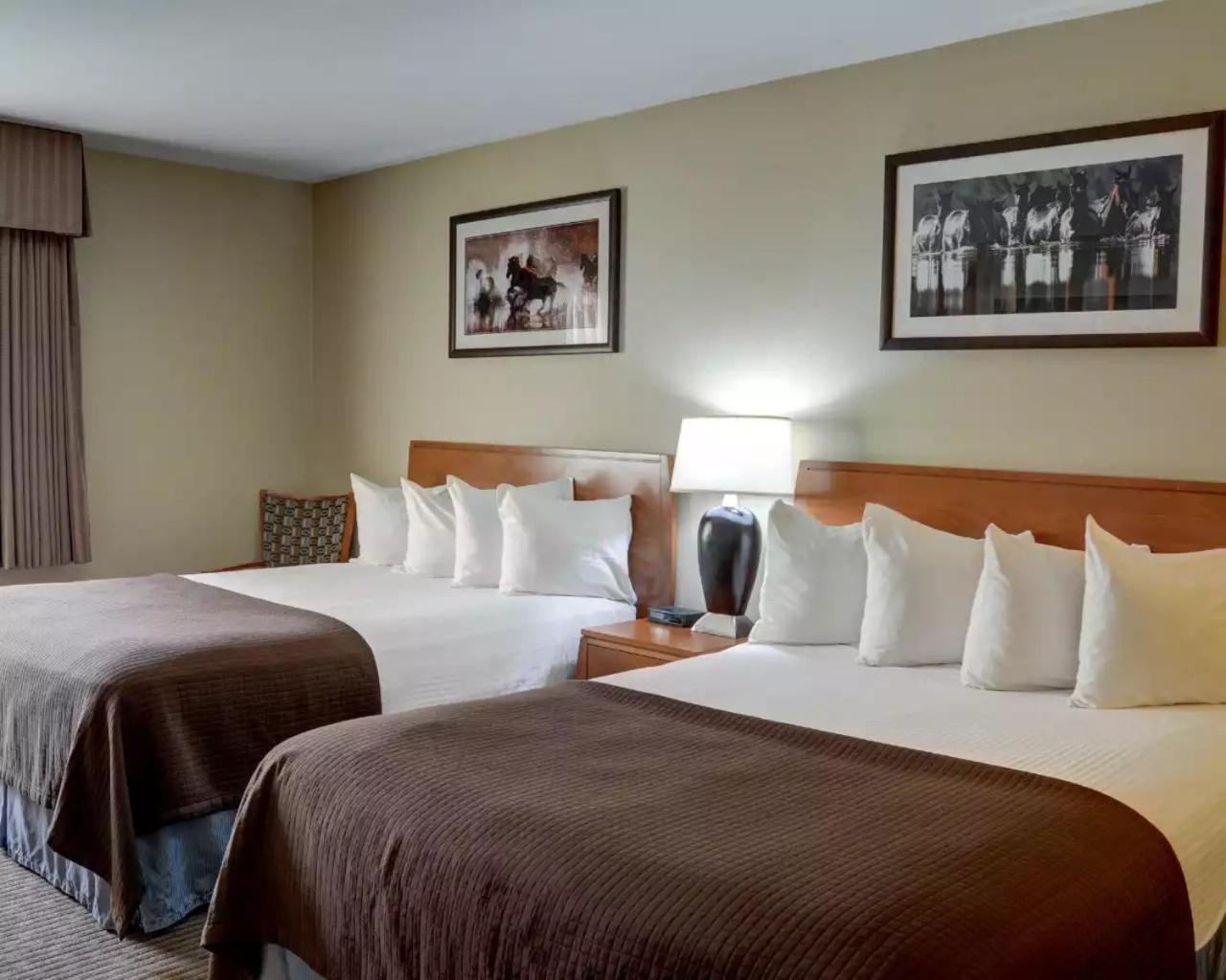 Queen Room with Two Queen Beds - Non-Smoking - Photo 4