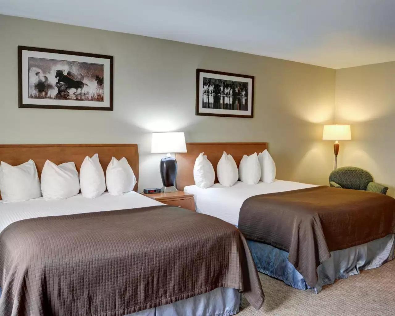 Queen Room with Two Queen Beds - Non-Smoking - Photo 6
