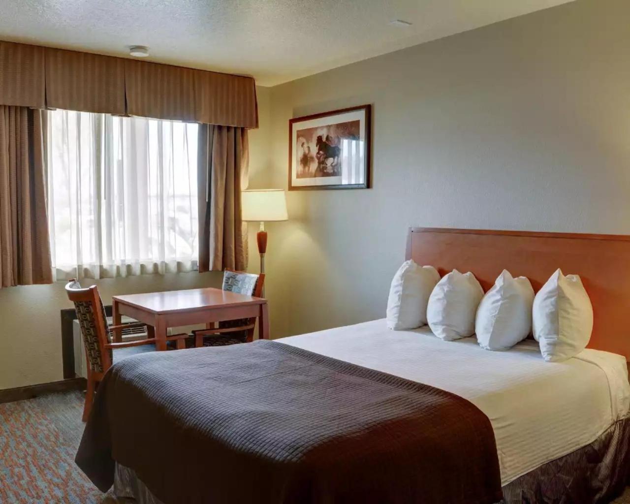 King Room - Non-Smoking - Photo 4