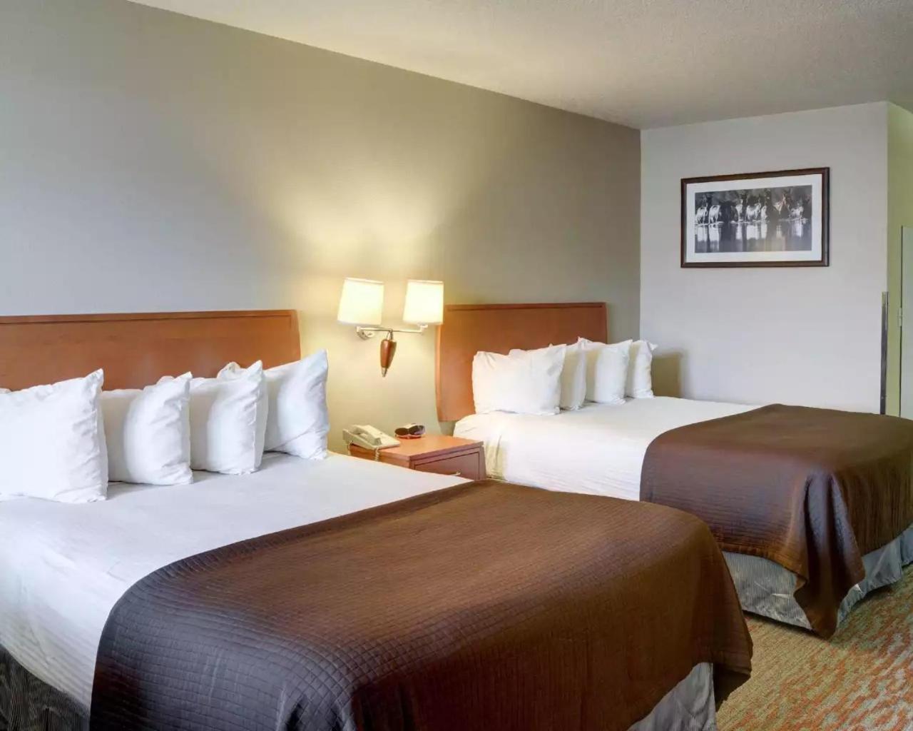 Queen Room with Two Queen Beds - Non-Smoking - Photo 8