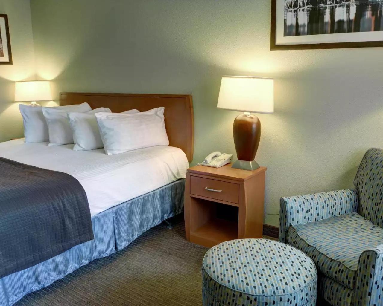 King Room - Non-Smoking - Photo 3