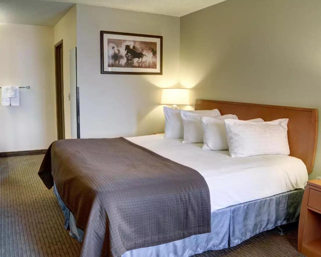 King Room - Non-Smoking - Photo 1