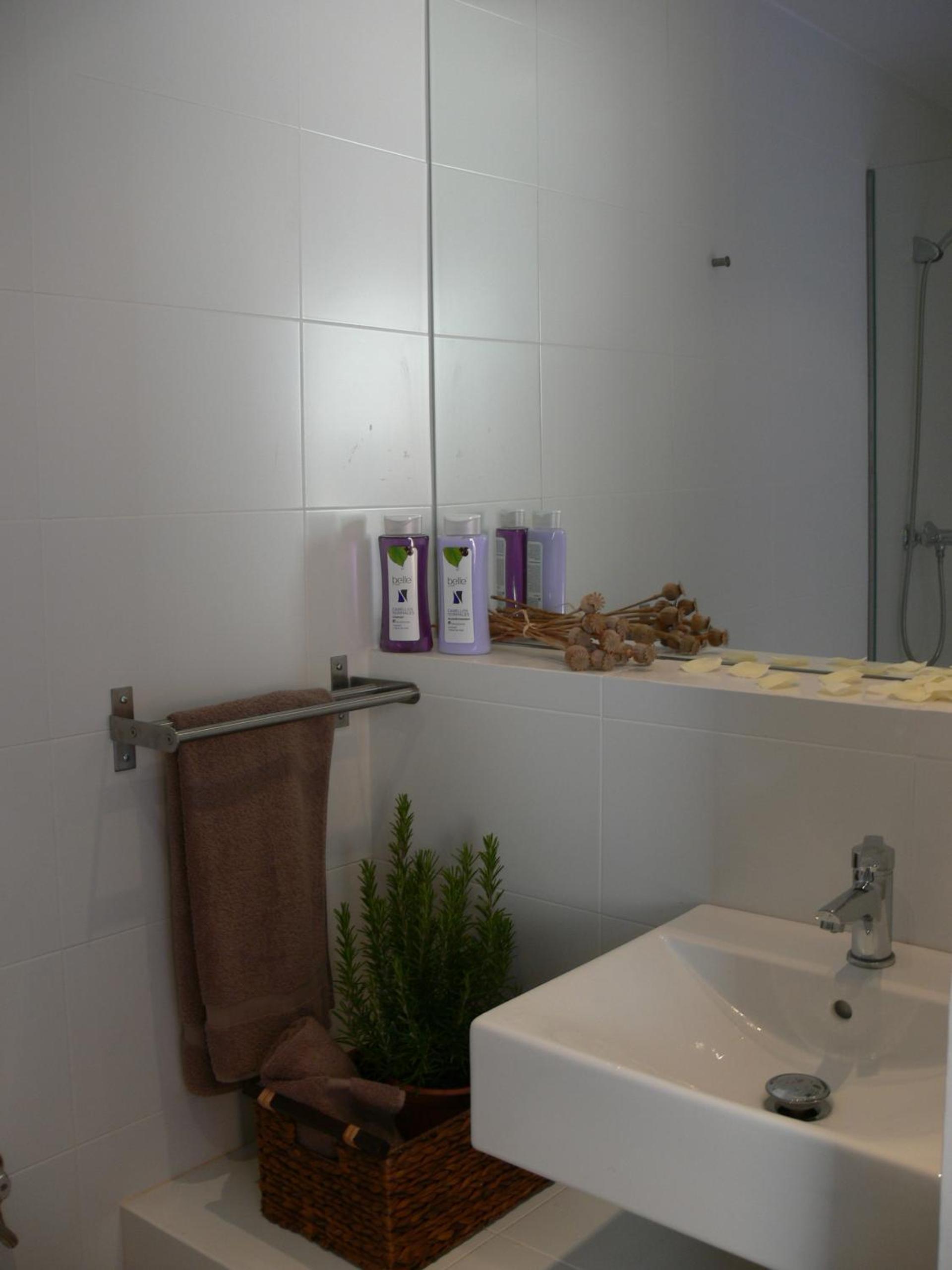 Standard Twin Room photo 2