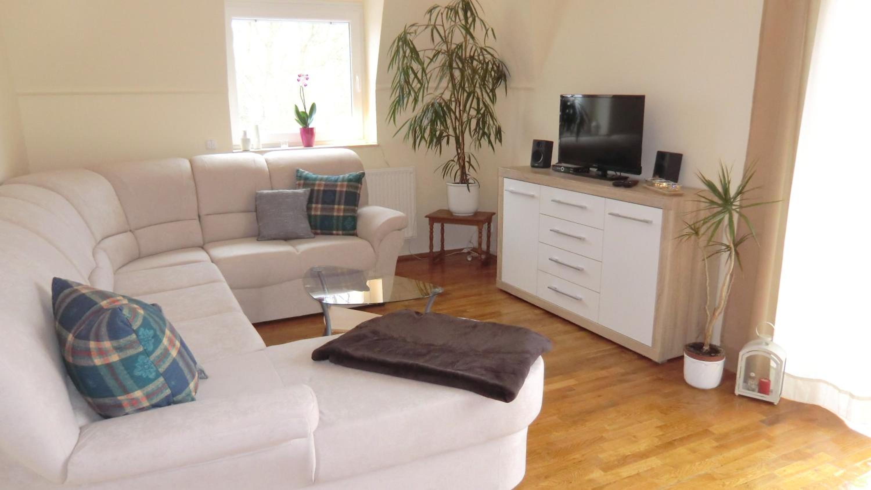 Suite with Terrace photo 1