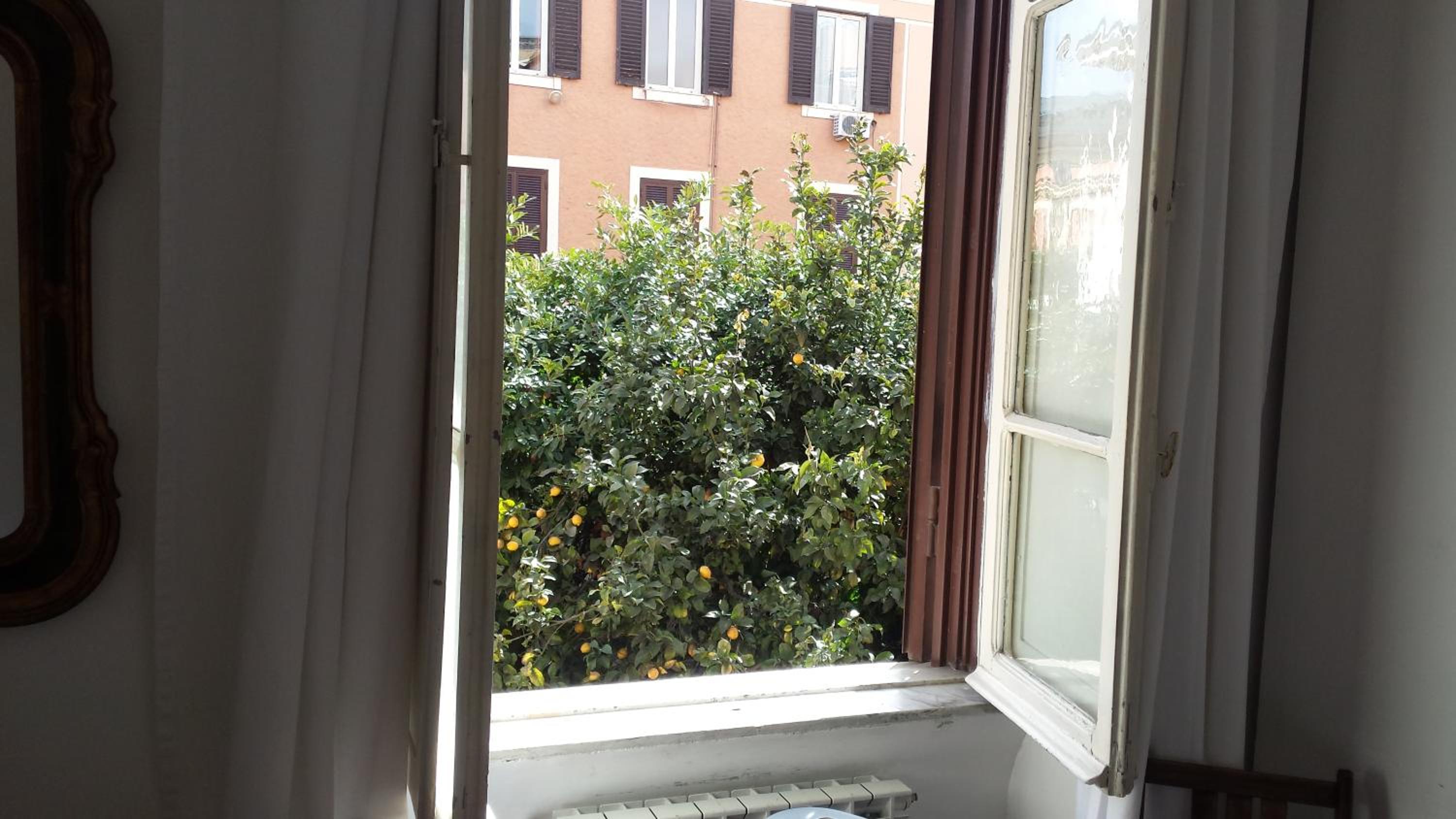 Double or Twin Room photo 2