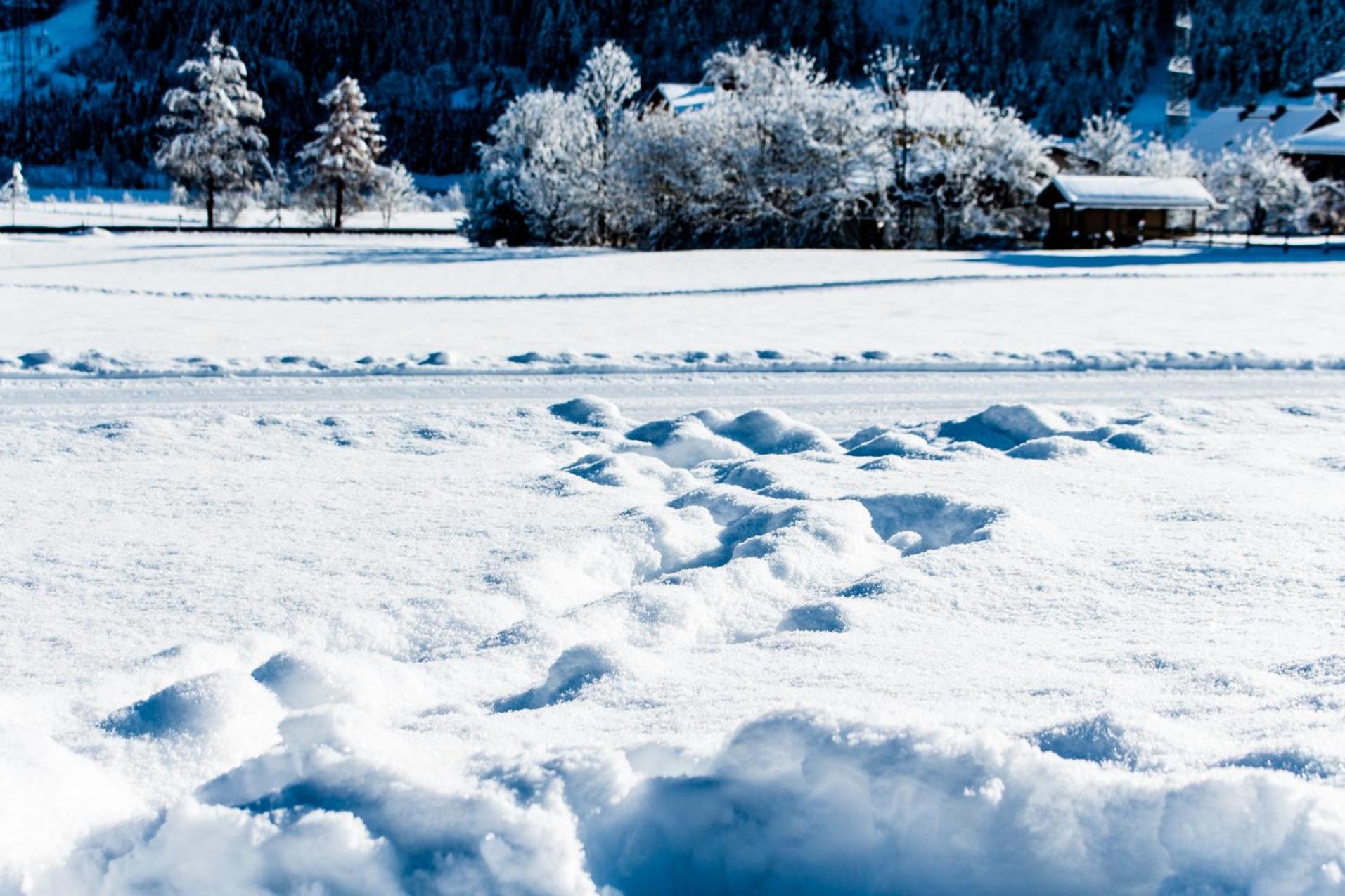 Chalet - Photo 36