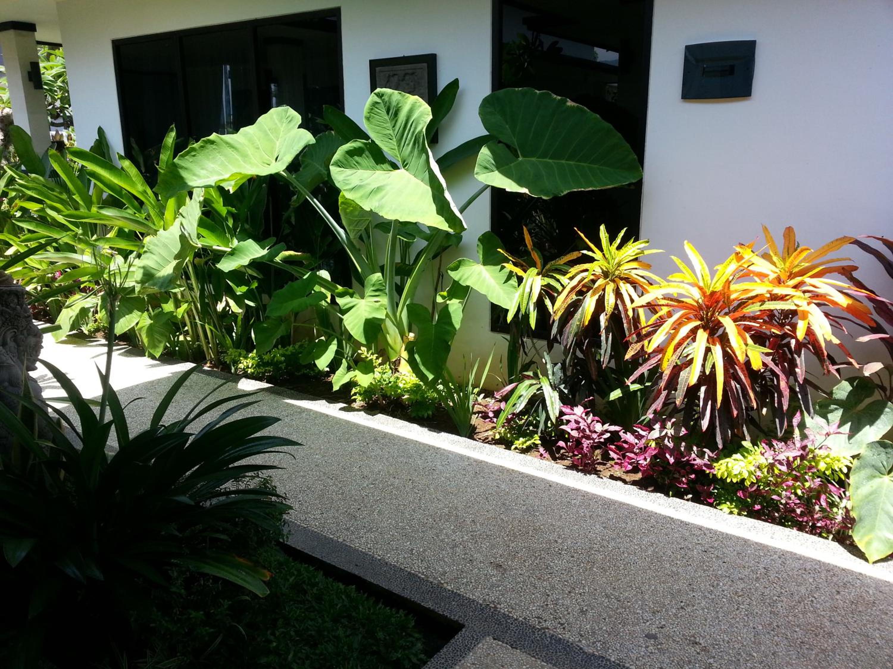 Deluxe Double Room with Garden View - Photo 4