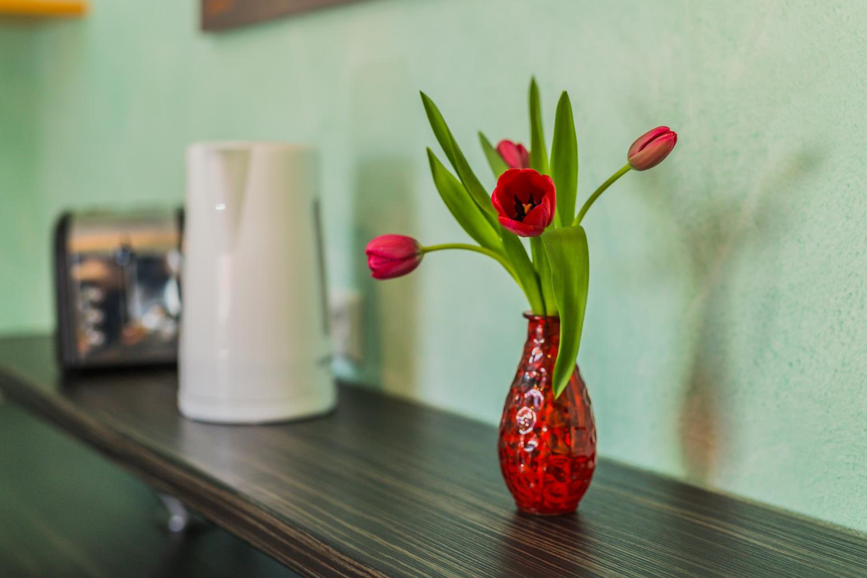 Apartment - Photo 9