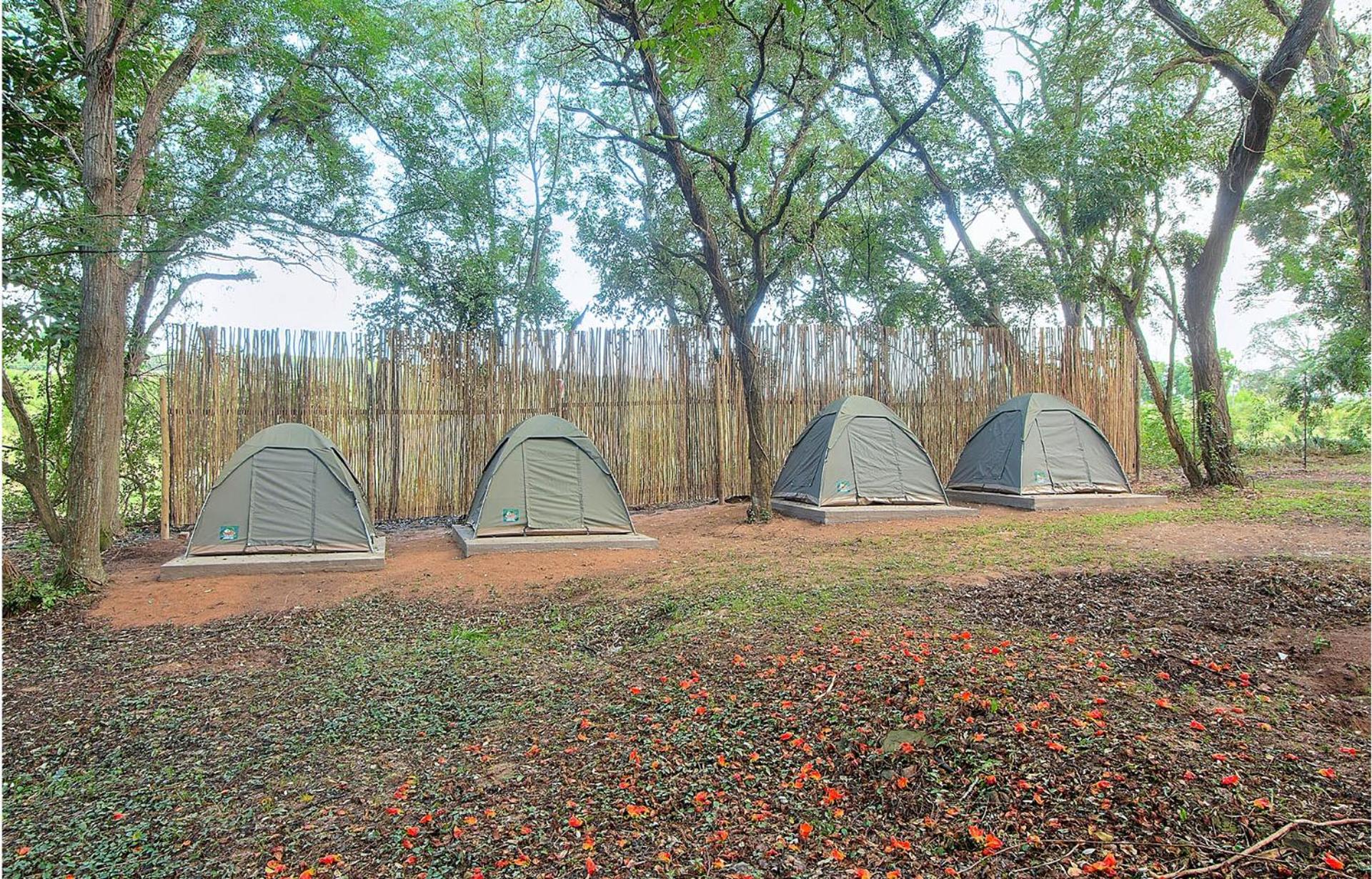 Tent photo 2