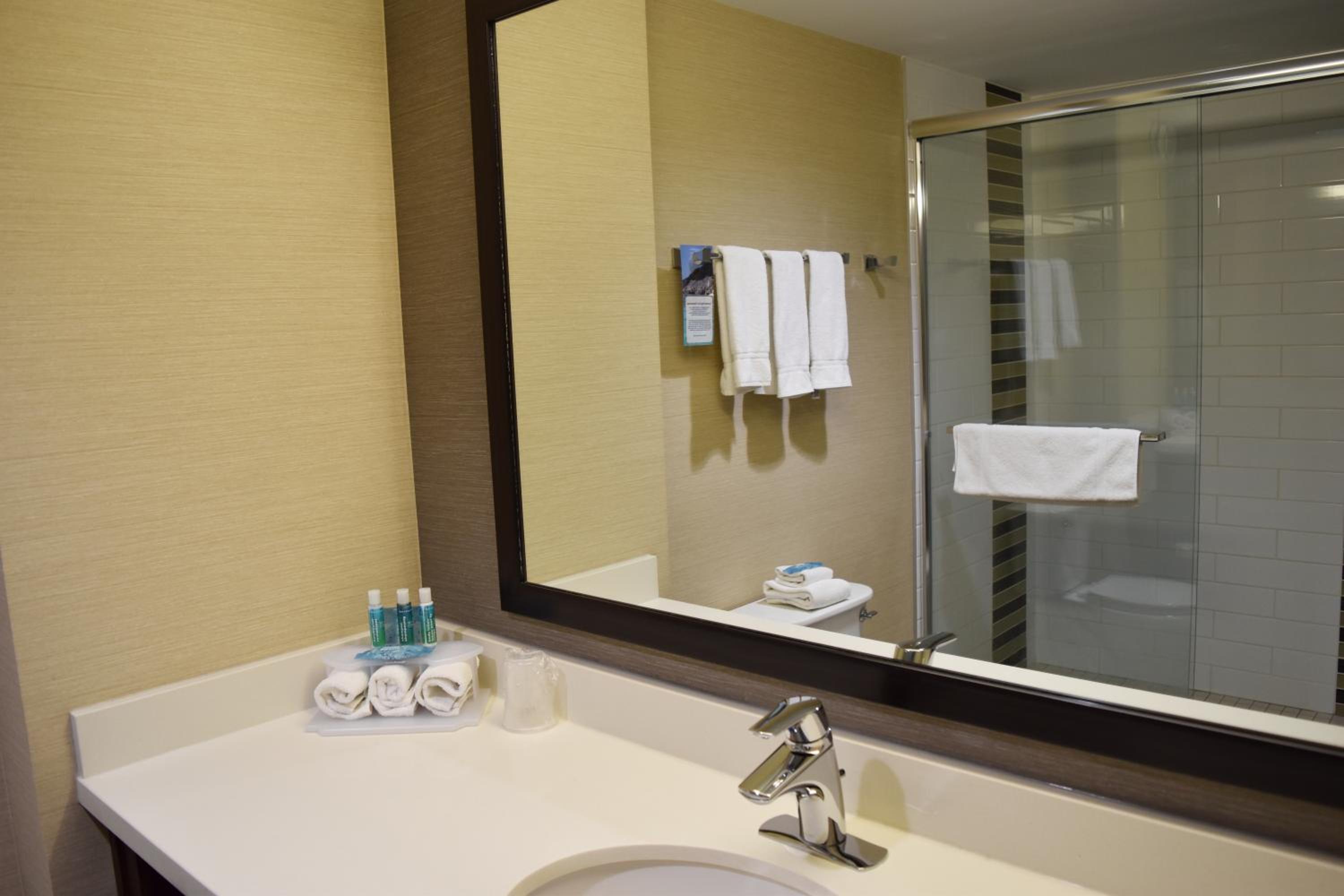 Suite - Mobility Access/Hearing Accessible photo 3
