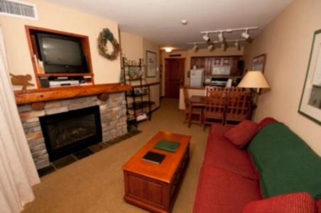 Deluxe One-Bedroom Condo