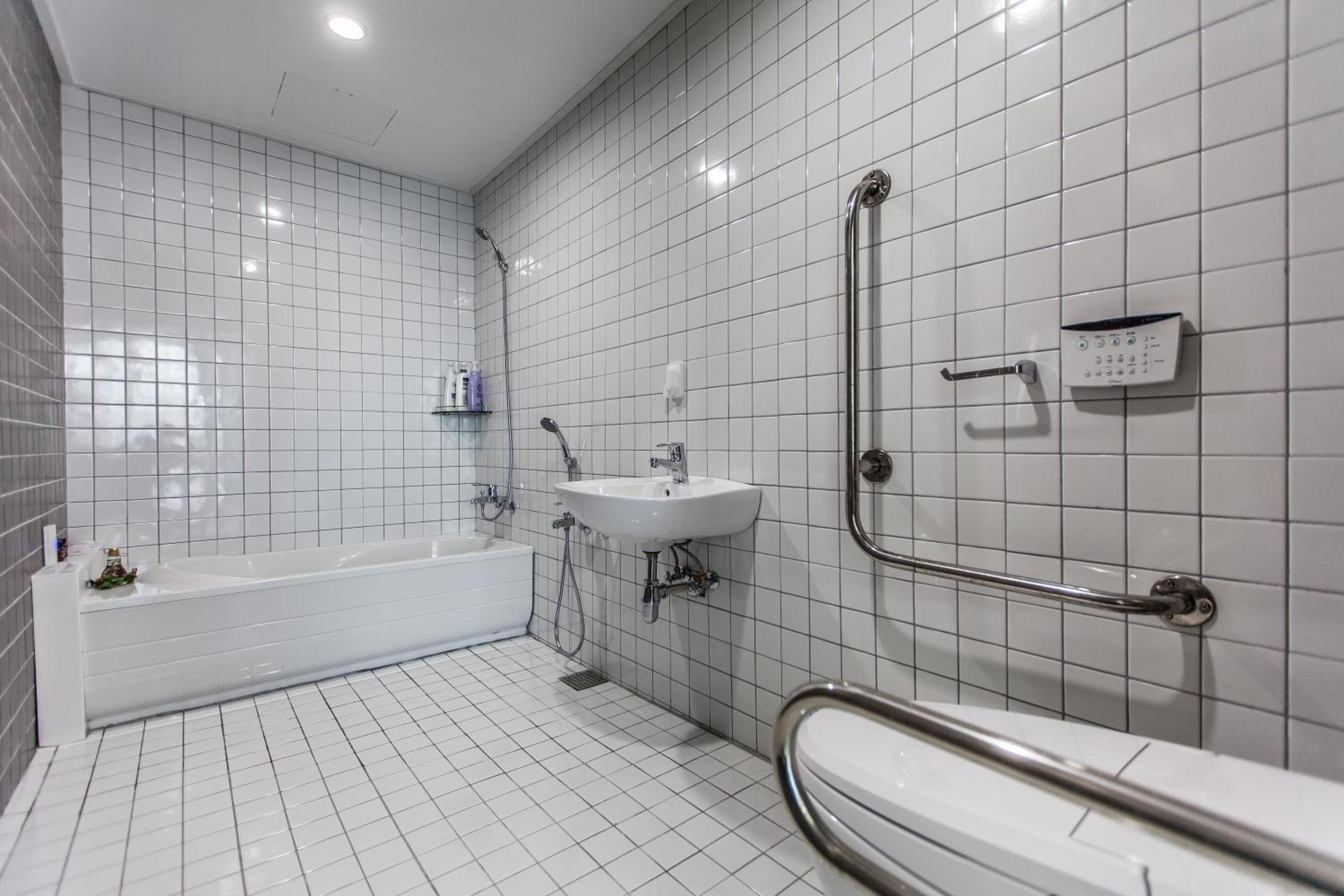 One-Bedroom Suite - Photo 11