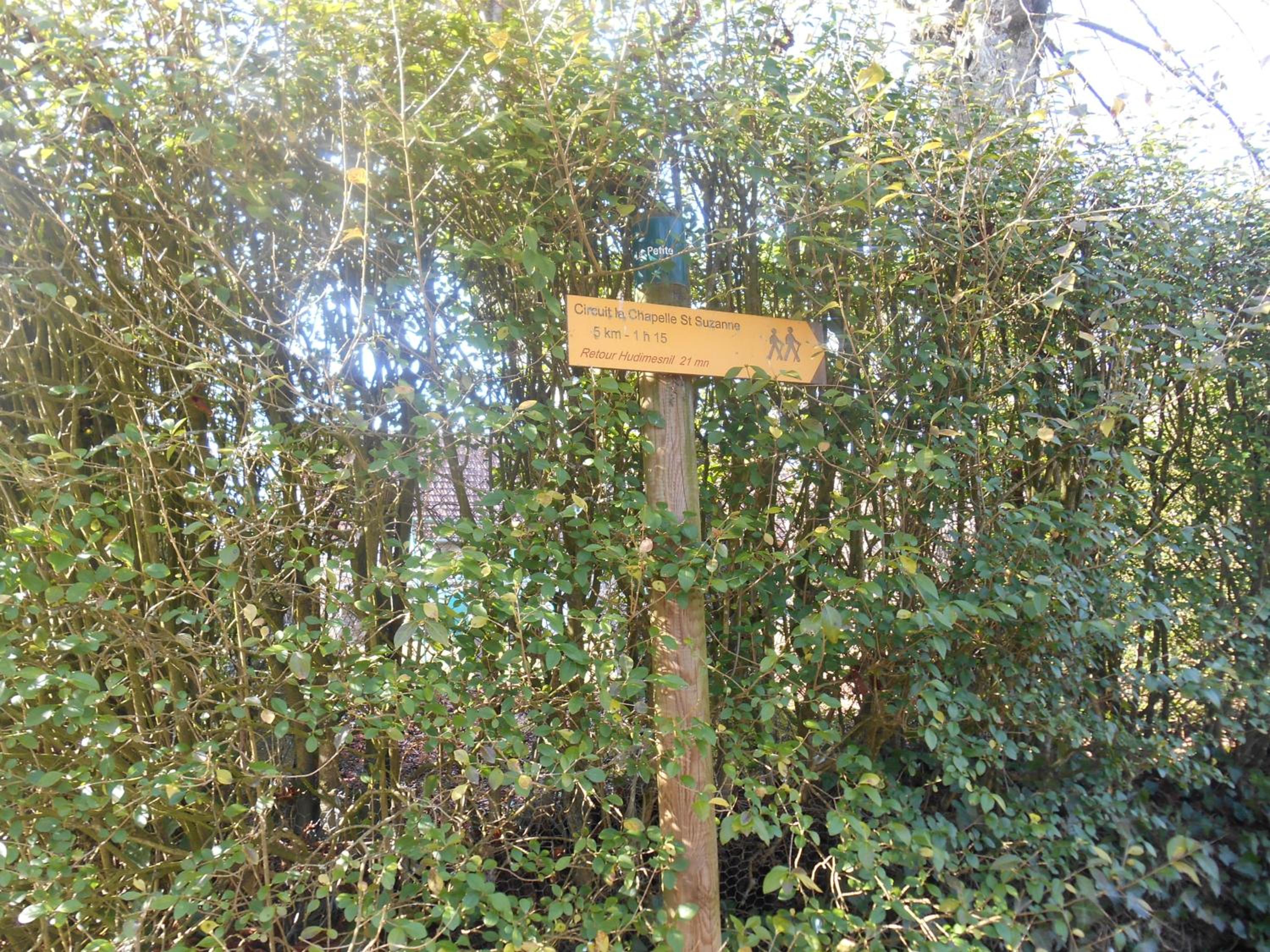 One-Bedroom House - Photo 25