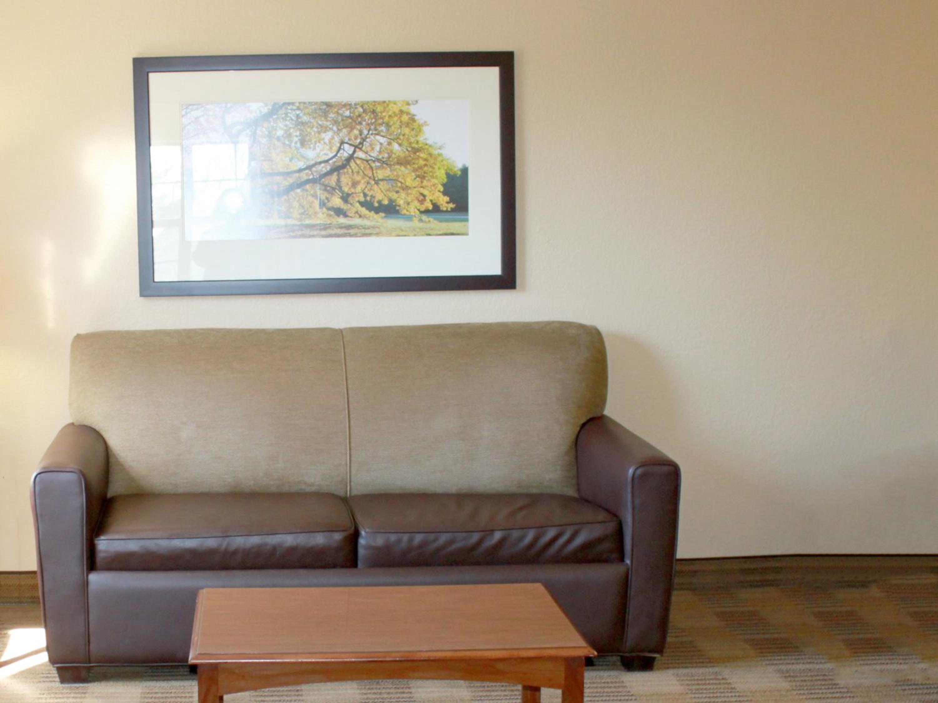 One-Bedroom Suite - Photo 4