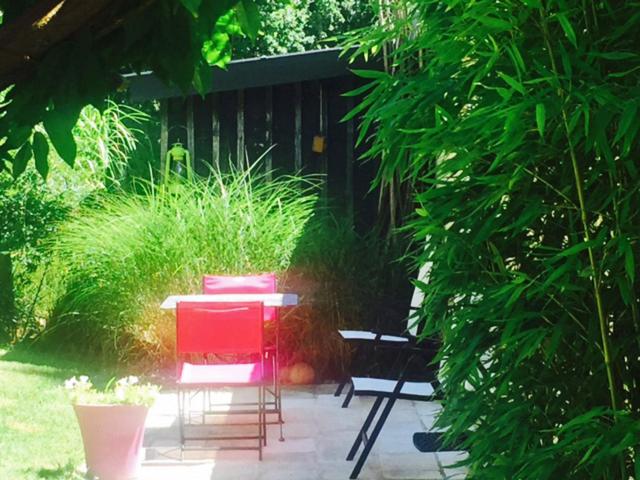 Studio with Garden View photo 1