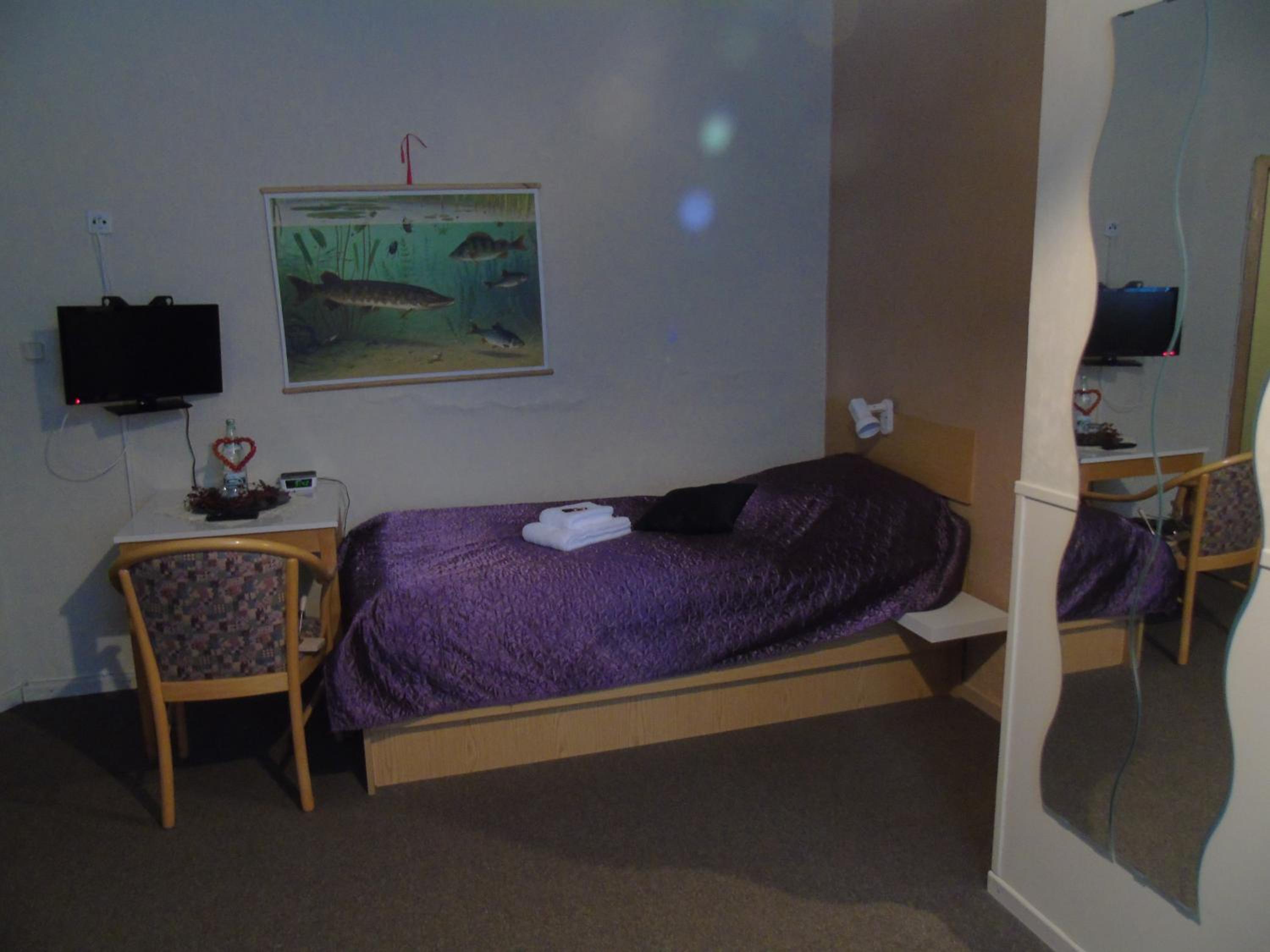 Single Room photo 1