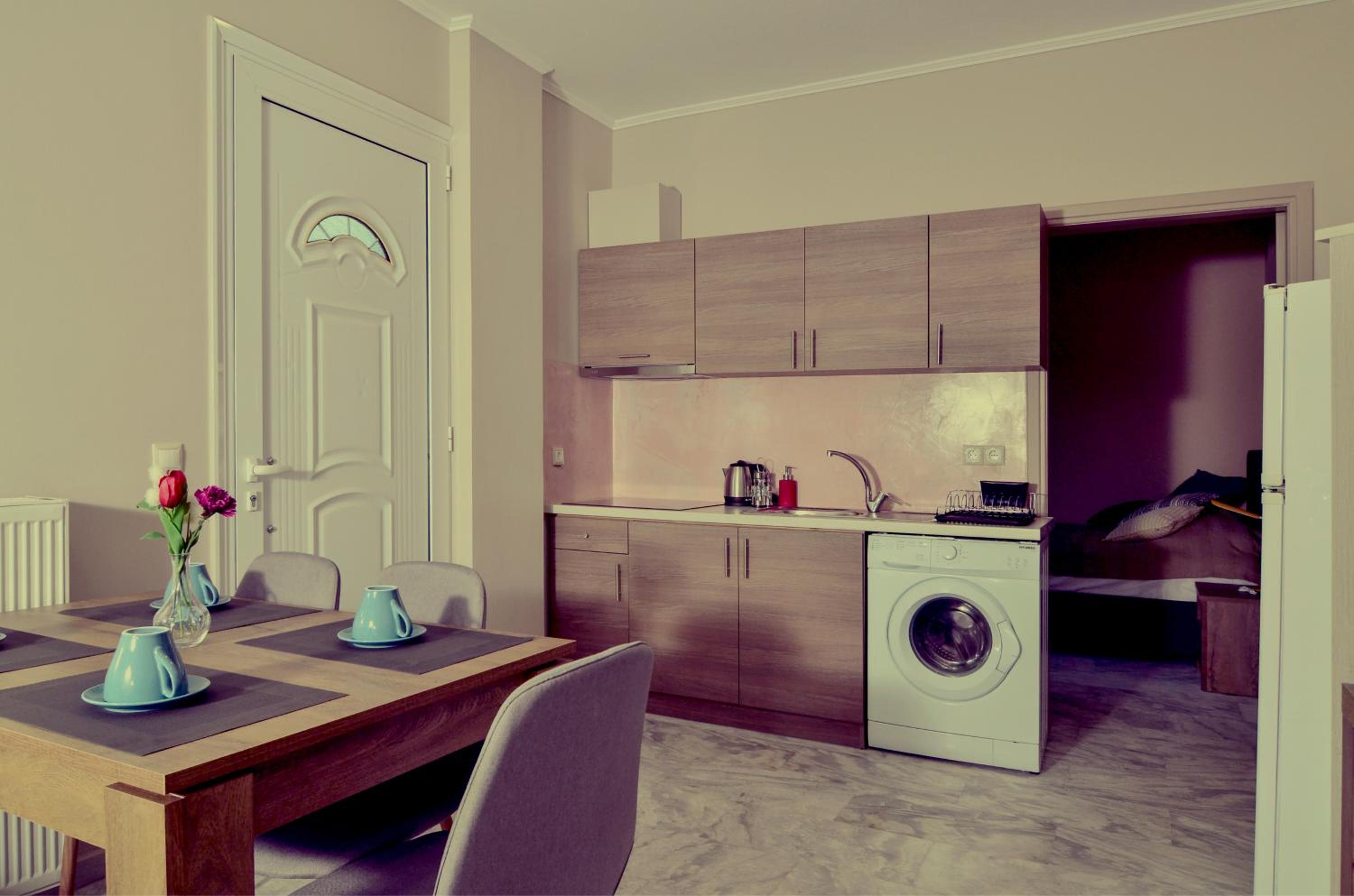 One-Bedroom Apartment photo 2