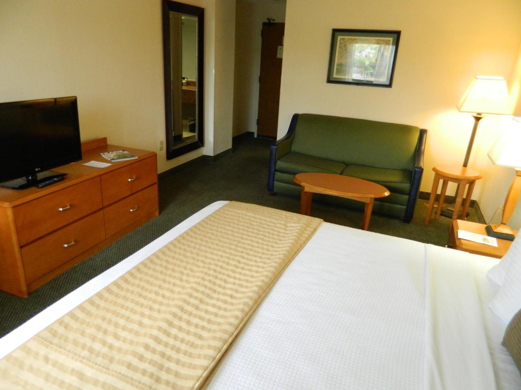 King Room - Disability Access photo 2