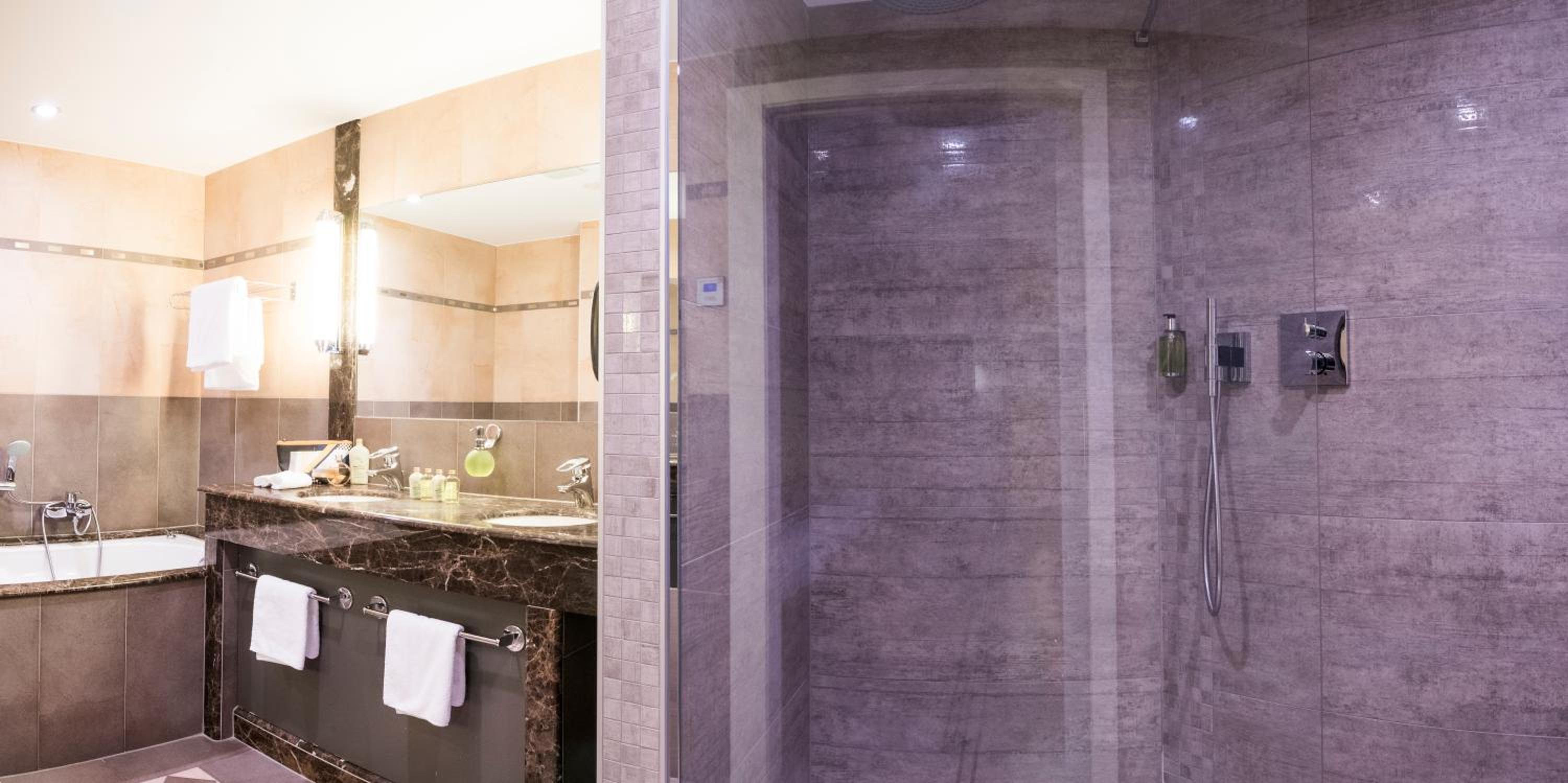 Suite with Spa Access photo 2