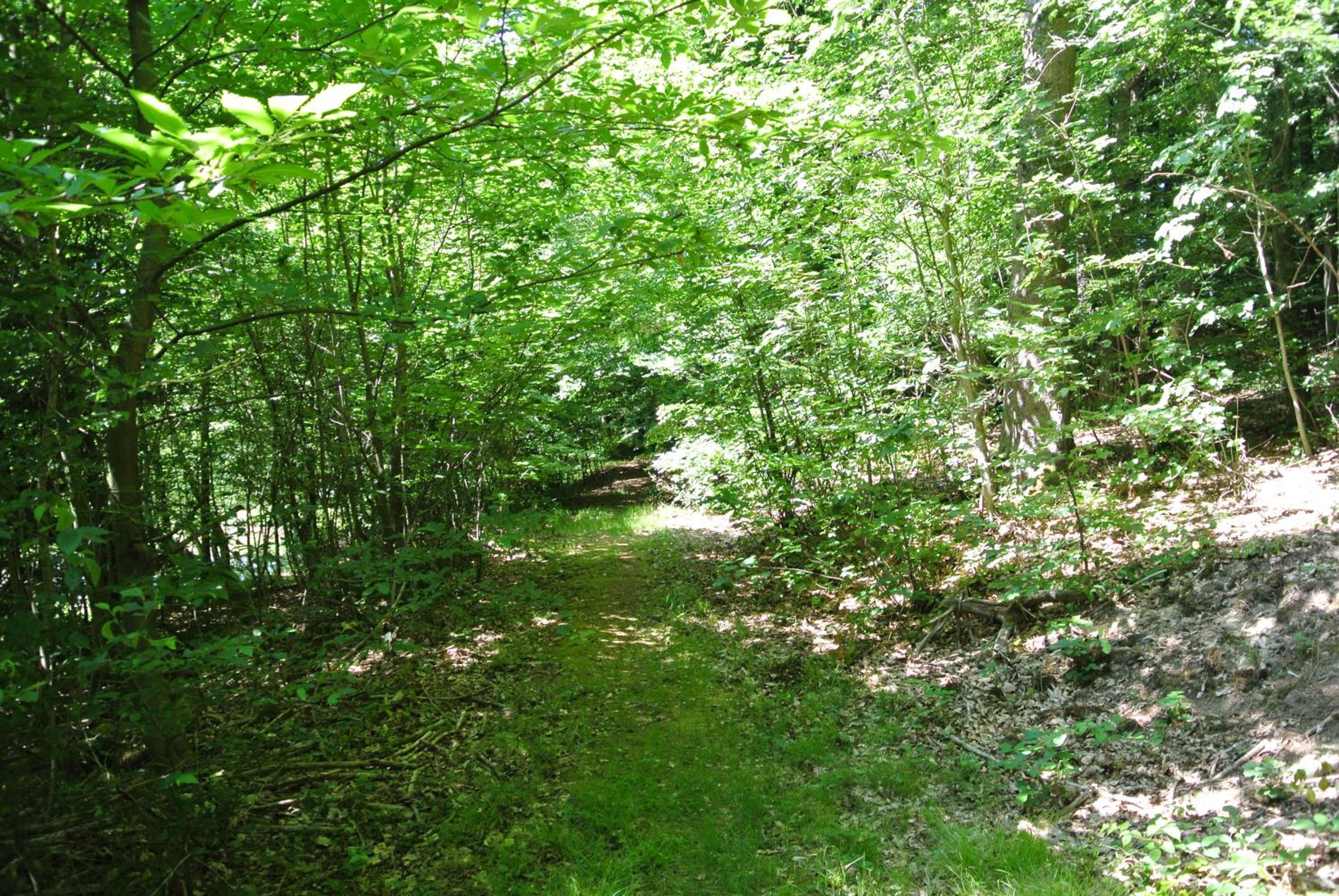 Apartment - Photo 77