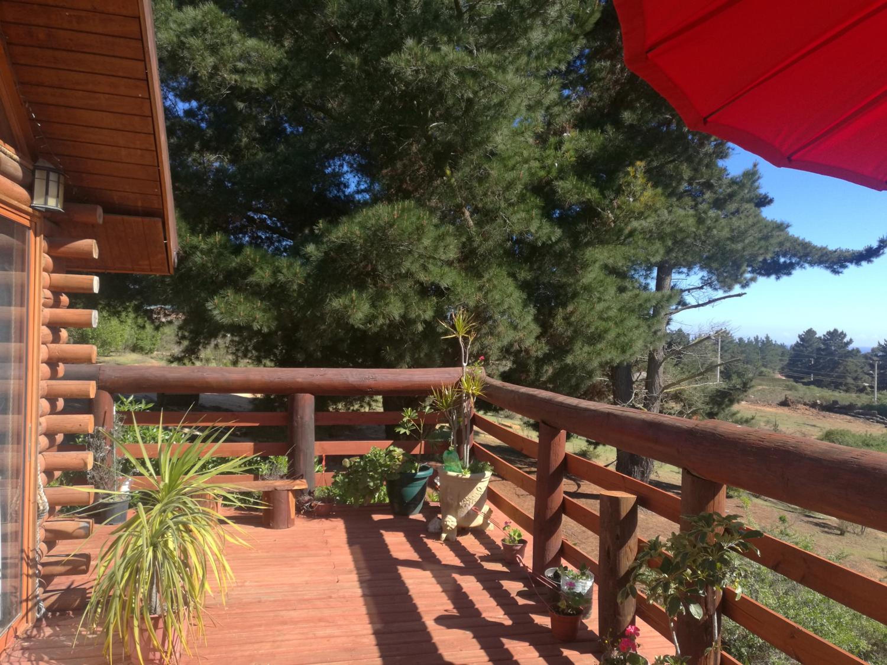 Three-Bedroom Chalet photo 2