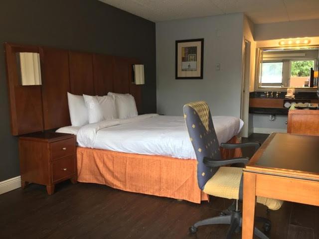 Superior King Room - Photo 1