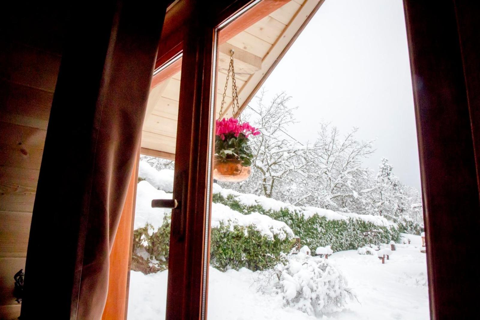 Chalet photo 2