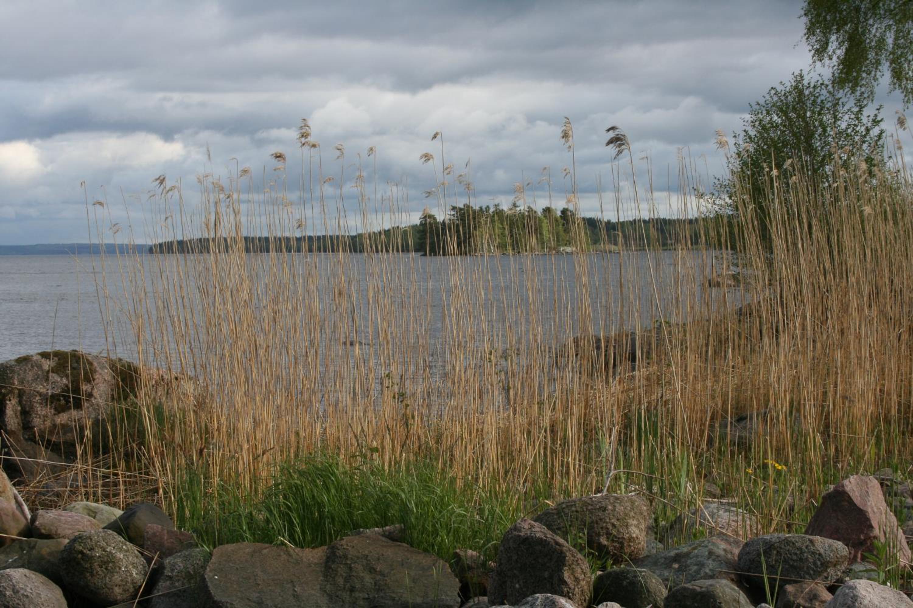 Vacation Home - Photo 13